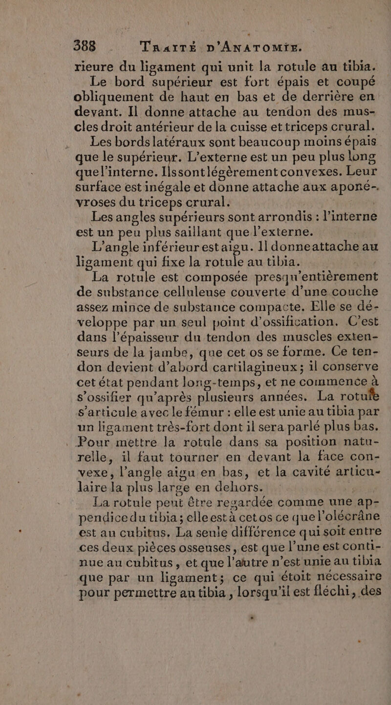 4 388 . TRAITÉ LA Le DES rieure du ligament qui unit la rotule au tibia. Le bord supérieur est fort épais et coupé obliquement de haut en bas et de derrière en devant. Il donne attache au tendon des mus- cles droit antérieur de la cuisse ettriceps crural. Les bordslatéraux sont beaucoup moïns épais que le supérieur. L’externe est un peu plus long que l’interne. Ilssontlégèrementconvexes. Leur surface est inégale et donne attache aux apone- vroses du triceps crural. pe | Les angles supérieurs sont arrondis : l’interne est un peu plus saillant que l’externe. | L’angle inférieurestaïgu. 1| donneattache au ligament qui fixe la rotule au tibia. AT La rotule est composée presqu'entièrement de substance celluleuse couverte d’une couche assez mince de substance compacte. Elle se dé- veloppe par un seul point d’ossification. C'est dans l’épaisseur dn tendon des muscles exten- seurs de la jambe, que cet os se forme. Ce ten- don devient d’abord cartilagineux ; il conserve cet état pendant long-temps, et ne commence à s’ossifier qu'après plusieurs années. La rotufe s'articule avec le fémur : elle est unie au tibia par un ligament très-fort dont il sera parlé plus bas. . Pour mettre la rotule dans sa position natu- relle, il faut tourner en devant la face con- vexe, l’angle aisu en bas, et la cavité articu- laire la plus large en dehors. HER La rotule peut être regardée comme une ap- pendice du tibia; elleest à cetos ce que l'olécrâne est au cubitus. La seule différence qui soit entre ces deux pièces osseuses , est que l’une est conti- nue au cubitus, et que l'autre n’est unie au tibia que par un ligament; ce qui étoit nécessaire pour permettre au tibia , lorsqu'il est fléchi, des LA