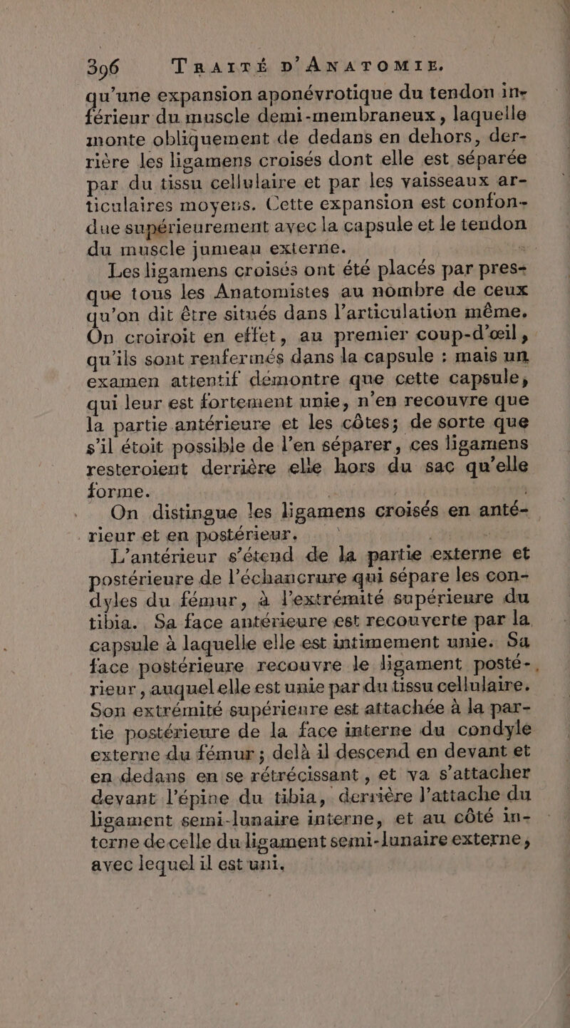 qu’une expansion aponévrotique du tendon in- férieur du. muscle demi-membraneux, laquelle monte obliquement de dedans en dehors, der- rière les ligamens croisés dont elle est séparée par du tissu cellulaire et par les vaisseaux ar- ticulaires moyens. Cette expansion est confon- due supérieurement avec la capsule et le tendon du muscle jumeau externe. à Les ligamens croisés ont été placés par pres- que tous les Anatomistes au nombre de ceux qu’on dit être situés dans l'articulation même, On croiroit en effet, au premier coup-d’œil, qu’ils sont renferinés dans la capsule : mais un examen attentif démontre que cette capsule; qui leur est fortement unie, n’en recouvre que la partie antérieure et les côtes; de sorte que s’il étoit possible de l’en séparer, ces ligamens resteroient derrière elle hors du sac qu’elle forme. | ; | On distingue les ligamens croisés en anté- rieur et en postérieur, | Ji L’antérieur s'étend de la partie externe et postérieure de l’échancrure qui sépare les con- dyles du fémur, à l'extrémité supérieure du tibia. Sa face antérieure est recouverte par la capsule à laquelle elle est intimement unie. Sa face postérieure recouvre le ligament posté-, rieur, auquelelle est unie par du tissu cellulaire. Son extrémité supérieure est attachée à la par- tie postérieure de la face interne du condyle externe du fémur ; delà il descend en devant et en dedans en se rétrécissant , et va s’attacher deyant l’épine du tibia, derrière l’attache du lisament semi-lunaire interne, et au côté in- terne de celle du ligament semi-lunaire externe; avec lequel il est uni.