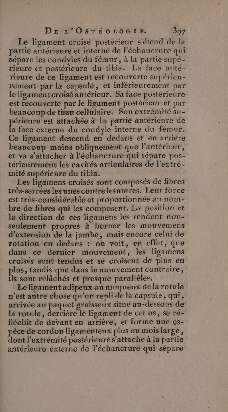 Le ligament croisé postérieur s'étend de la partie antérieure et interne de l’échancrure qui sépare les condyles du fémur, à la partie supe- rieure et postérieure du tibia. La face anté- rieure de ce ligament est recouverte supérieu- rement par la capsule, et inférieurement par le igament croisé antérieur. Sa face postérieure est recouverte par le lisament postérieur et par beaucoup de tissu cellulaire. Son extrémité su- hr est attachée à la partié antérieure de a face externe du condyle interne du fémur. Ce ligament descend en dedans et en arrière beaucoup moins obliquement que l'antérieur, et va s'attacher à l’échancrure qui sépare pos- térieurement les cavités articalaires de l'extré- mité supérieure du tibia. | - Les ligainens croïsés sont composés de fibres très-serrées les unescontrelesantres. Leur force est très-considérable et proportionnée au nom- bre de fibres qui les composent. La position et la direction de ces ligamens les rendent non- seulement propres à borner les mouvemens d'extension de la jambe, mais encore celui de rotation en dedans : on voit, en effet, que dans cé dernier mouvement, les ligamens croisés sont tendus et se croisent de plus en plus, tandis que dans le mouvement contraire, ils sont relâchés et presque parallèles. Le ligament adipeux ou muqueux de la rotule n’est autre chose qu’un repli de la capsule, qui, arrivée au paqniet graisseux situé au-dessous de la rotule, derrière le ligament de ‘cet os, se ré- fléchit de devant en arrière, et forme une es- pèce de cordon ligamenteux plus ou mois large, dont l’extrémité postérieure s'attache à la partie antérieure externe de l’échancrure qui sépare: