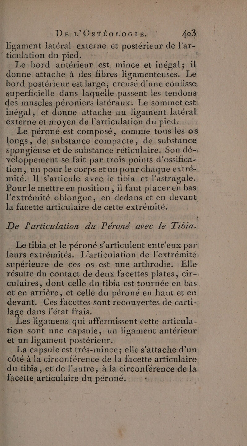 ligament latéral externe et postérieur de l’ar- ‘ticulation du pied. | | el . Le bord antérieur est, mince et inégal; il donne attache à des fibres ligamenteuses. Le bord postérieur est large, creuse d’une coulisse superficielle dans laquelle passent les tendons des muscles péroniers latéraux. Le sommet est: inégal, et donne attache au ligament latéral externe et moyen de l'articulation du pied. Le péroné est composé, comme tous les os longs, de substance compacte, de substance sppngieuse et de substance réticulaire. Son dé-, veloppement se fait par trois points d’ossifica- tion, un pour le corps etun pour chaque extré- mité. 11 s'articule avec le tibia et l'astragale. Pour le mettre en position ; il faut placer en bas l’extrémité oblongue, en dedans et en devant : : O Ut 2 la facette articulaire de cette extrémité. æ LA De larticulaition du Péroné avec Le Tibia. Le tibia et le péroné s’articulent entr’eux par leurs extrémités. L’articulation de l’extrémite supérieure de ces os est une arthrodie. Elle résuite du contact de deux facettes plates, cir- culaires, dont celle du tibia est tournée en bas et en arrière, et celle du péroné en haut et en devant. Ces facettes sont recouvertes de carti- lage dans l’état frais. Les ligamens qui affermissent cette articula- tion sont une capsule, un ligament antérieur et un ligament postérieur. La capsule est très-mince; elle s'attache d’un côté à la circonférence de la facette articulaire du tibia , et de l’autre, à la circonférence de la facette articulaire du péroné. : +.