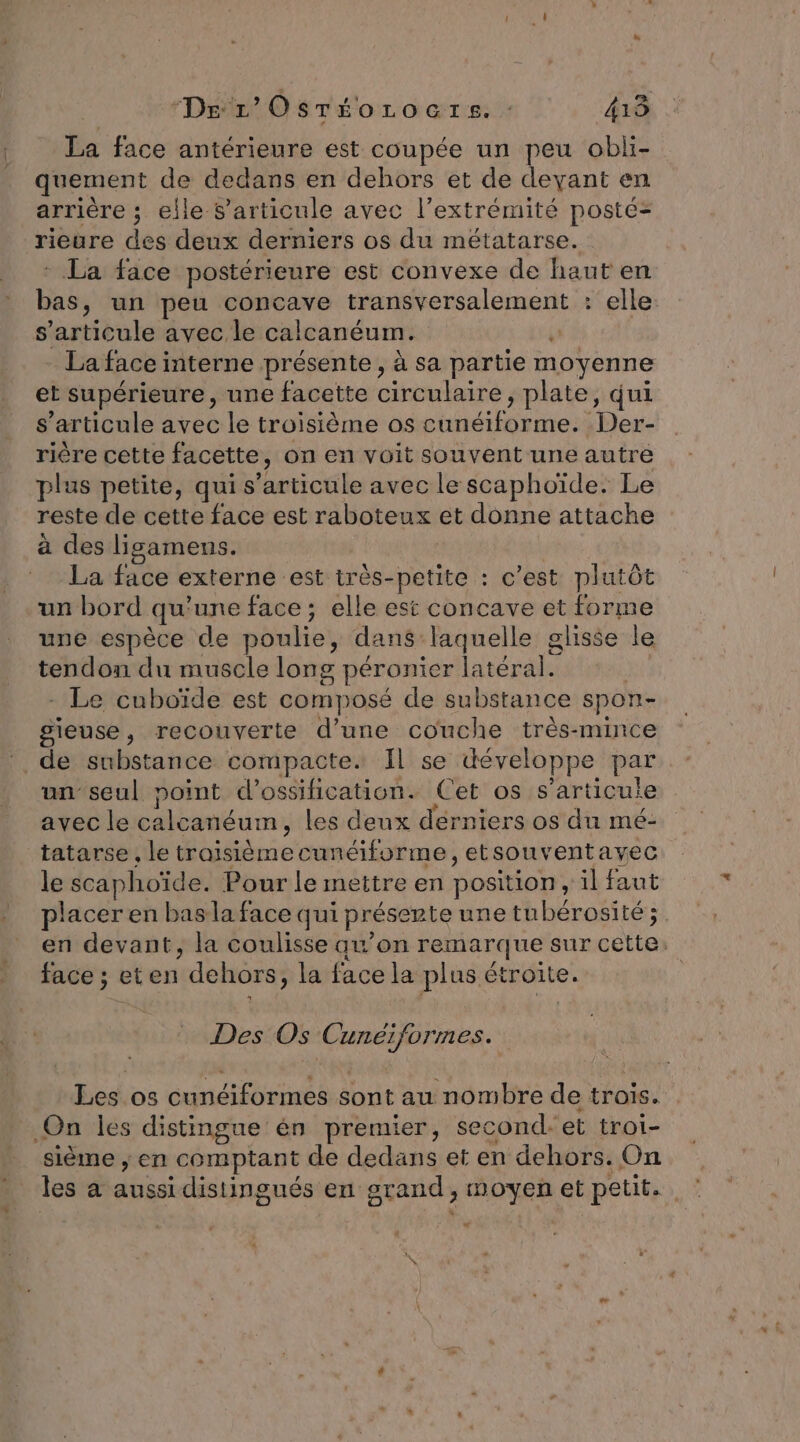 ‘Der Osréorocrs. : 419 La face antérieure est coupée un peu oblii- quement de dedans en dehors et de deyant en arrière ; elle S’articule avec l’extrémité posté- rieure des deux derniers os du métatarse. * La face postérieure est convexe de haut en bas, un peu concave transversalement : elle s'articule avec le calcanéum. K La face interne présente , à sa partie moyenne et supérieure, une facette circulaire, plate, qui s'articule avec le troisième os cunéiforme. Der- rière cette facette, on en voit souvent une autre plus petite, qui s'articule avec le scaphoïde. Le reste de cette face est raboteux et donne attache à des lisamens. La face externe est très-petite : c’est plutôt un bord qu'une face ; elle est concave et forme une espèce de poulie, dans laquelle glisse le tendon du muscle long péronier latéral. | - Le cuboïde est composé de substance spon- sieuse, recouverte d’une couche très-mince de substance compacte Il se développe par un seul point d’oséification. Cet os s'articule avec le calcanéum, les deux derniers os du mé- tatarse , le traisièmecunéiforme, etsouventayec le scaphoïde. Pour le mettre en position, il faut placer en baslaface qui présente une tubérosité ; en devant, la coulisse qu’on remarque sur cette. face ; eten dehors, la face la plus étroite. Des Os Cunéiform es. Les os cunéiformes sont au nombre de trois. On les distingue én premier, second:et troi- sième ; en comptant de dedans et en dehors. On les à aussi distingués en grand, moyen et petit. x
