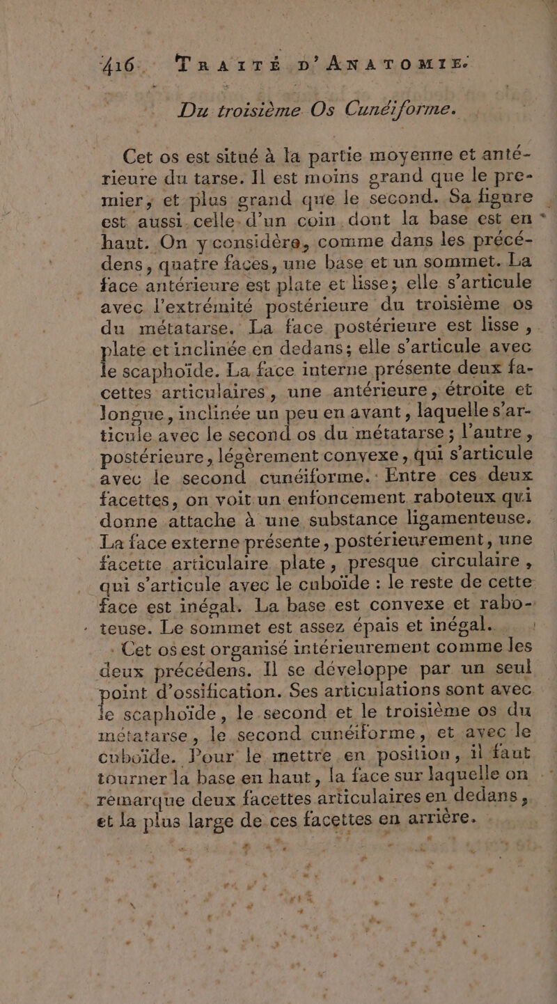 + Du troisième Os Cunéiforme. Cet os est situé à la partie moyenne et anté- rieure du tarse. Il est moins grand que le pre- mier, et plus grand que le second. Sa figure | est aussi celle: d’un coin dont la base est en * haut. On yconsidère, comme dans les précé- dens, quatre faces, une base et un sommet. La face antérieure est plate et lisse; elle s'articule avec l'extrémité postérieure du troisième os du métatarse. La face postérieure est lisse , plate et inclinée en dedans; elle s'articule avec le scaphoïde. La face interne présente deux fa- cettes articulaires, une antérieure, étroite et longue , inclinée un peu en avant, laquelle s’ar- ticule avec le second os du métatarse; l’autre, postérieure, lésèrement convexe, qui s'articule avec le second cunéiforme.: Entre ces. deux facettes, on voit un enfoncement raboteux qui donne attache à une substance lisgamenteuse. La face externe présente, postérieurement, une facette articulaire plate, presque circulaire , qui s'articule avec le cuboïde : le reste de cette face est inégal. La base est convexe et rabo- teuse. Le sommet est assez épais et inégal... : . Cet osest organisé intérieurement comme les deux précédens. Il se développe par un seul point d’ossification. Ses articulations sont avec le scaphoïde, le second et le troisième os du métatarse, le second cunéiforme, et avec le uboïde. Pour le mettre en position, il faut tourner la base en haut, la face sur laquelle on | rémarque deux facettes articulaires en dedans, et la plus large de ces facettes en arrière. « x = de o . : :