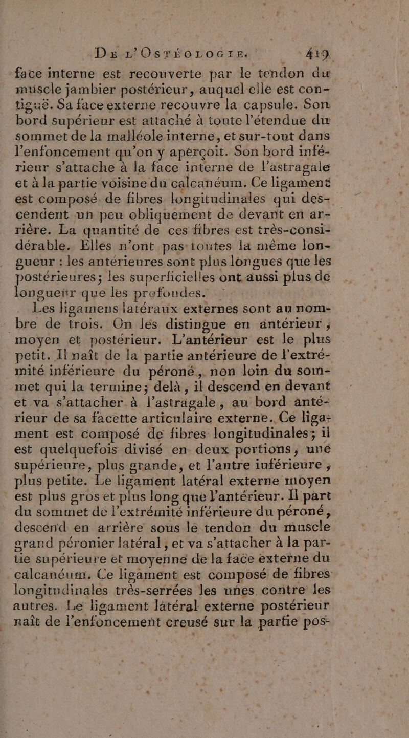 Divx Os rio noGrE 4r9 face interne est recouverte par le tendon du muscle jambier postérieur, auquel elle est con- tisuë. Sa face externe recouvre la capsule. Son bord supérieur est attaché à toute l'étendue du sommet de la malléoleinterne, et sur-tout dans l’enfoncement qu’on y aperçoit. Son bord infé- rieur s'attache à la face interne de l'astragale et à la partie voisine du calcanéum. Ce ligament est composé. de fibres longitudinales qui des- cendent un peu obliquement de devant en ar- rière. La quantité de ces fibres est très-consi- dérable. Elles n’ont pas-ioutes la nême lon- gueur : les antérieures sont plus longues que les postérieures ; les superlicielles ont aussi plus de longueir que les profondes. Les Higamens latéraux externes sont au nom- bre de trois. On les distingue en antérieur ; moyen et postérieur. L’antérieur est le plus petit. Il naît de la partie antérieure de l'extre- mité inférieure du péroné,. non loin du som- met qui la termine; delà , il descend en devant et va s'attacher à l’astragale, au bord anté- rieur de sa facette articulaire externe. Ce liga: ment est composé de fibres longitudinales; 1l est quelquefois divisé en deux portions, uné supérieure, plus grande, et l’antre iuférieure ; plus petite. Le ligament latéral externe moyen est plus gros et plus long que antérieur. Il part du sommet de l'extrémité inférieure du péroné, descend en arrière sous lé tendon du muscle grand péronier latéral ; et va s'attacher à la par- tie supérieure et moyenne de la face externe du calcanéum, Ce lisament est composé de fibres longitudinales très-serrées les uñes contre les autres. Le lisament latéral externe postérieur naît de l’enfoncement creusé sur la partie pos-