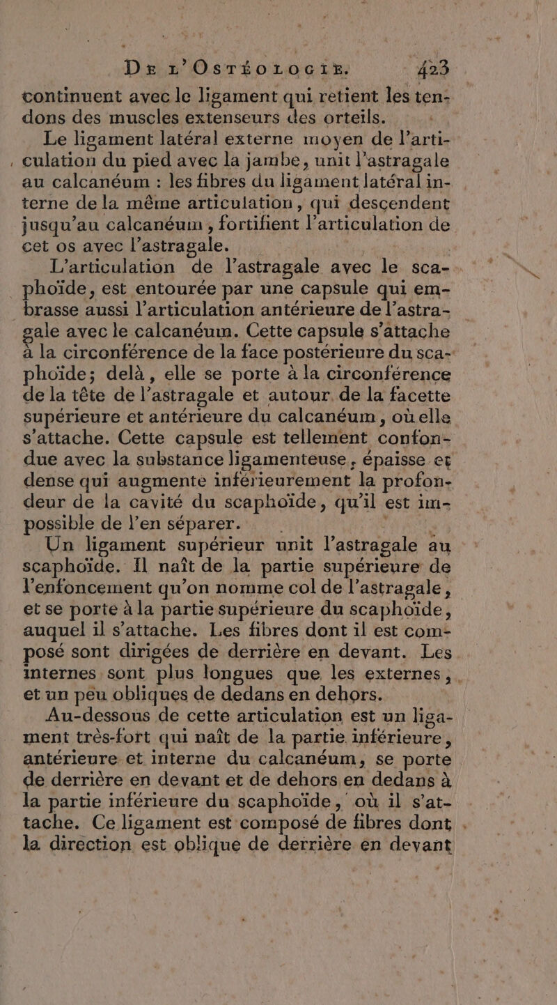 continuent avec le ligament qui retient les ten- dons des muscles extenseurs des orteils. Le ligament latéral externe moyen de Parti- culation du pied avec la jambe, unit l’astragale au calcanéum : les fibres du ligament latéral in- terne de la même articulation, qui descendent jusqu’au calcanéum , fortifient l’articulation de cet os avec l’astragale. | L’articulation de l’astragale avec le sca- gale avec le calcanéum. Cette capsule s'attache à la circonférence de la face postérieure du sca- phoïde; delà , elle se porte à la circonférence de la tête de l’astragale et autour de la facette supérieure et antérieure du calcanéum , oùelle s'attache. Cette capsule est tellement confon- due avec la substance ligamenteuse, épaisse et dense qui augmente inférieurement la profon- deur de la cavité du scaphoïde, qu’il est im- possible de l’en séparer. l è Un ligament supérieur unit l’astragale au scaphoïde. Il naît de la partie supérieure de l’'enfoncement qu’on nomme col de l’astragale, et se porte à la partie supérieure du scaphoïde, auquel il s'attache. Les fibres dont il est com- posé sont dirigées de derrière en devant. Les internes sont plus longues que les externes, . et un peu obliques de dedans en dehors. Au-dessous de cette articulation est un liga- ment très-fort qui naît de la partie inférieure, antérieure et interne du calcanéum, se porte de derrière en devant et de dehors en dedans à la partie inférieure du scaphoïde, où il s’at- tache. Ce ligament est composé de fibres dont . la direction est oblique de derrière en devant