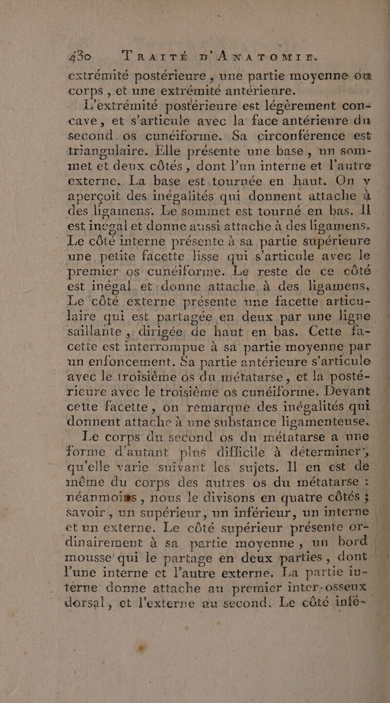 extrémité postérieure , une partie moyenne Ow® corps , et une extrémité antérieure. NE: L’extrémité postérieure est légèrement con- cave, et s'articule avec la face antérieure du second os cunéiforme. Sa circonférence est triangulaire. Elle présente une base, un som- met et deux côtés, dont l’un interne et l’autre externe. La base est.tournée en haut. On y aperçoit des inégalités qui donnent attache à des ligamens. Le sommet est tourné en bas. il est intoal et donne aussi attache à des ligamens. Le côté interne présente à sa partie supérieure une petite facette lisse qui s'articule avec le est inégal et donne attache à des ligamens, Le côté externe présente une facette: articu- saillante , dirigée, de haut en bas. Cette fa- un enfoncement. $a partie antérieure s'articule avec le troïsième 6s du métatarse, et la posté- rieure avéc le troisième os cunéiforme. Devant cette facette, on remarque des inégalités qui donnent attache à nne substance ligamenteuse. Le corps du second os du métatarse a une forme d'autant plus difficile à déterminer, même du corps des autres os du métatarse : néanmoiïæs , nous le divisons en quatre côtés ; savoir , un supérieur, un inférieur, un Interne dinairement à sa partie moyenne, un bord l'une interne ct l’autre externe. La partie iu- terne donne attache au premier inter-osseux — mis a
