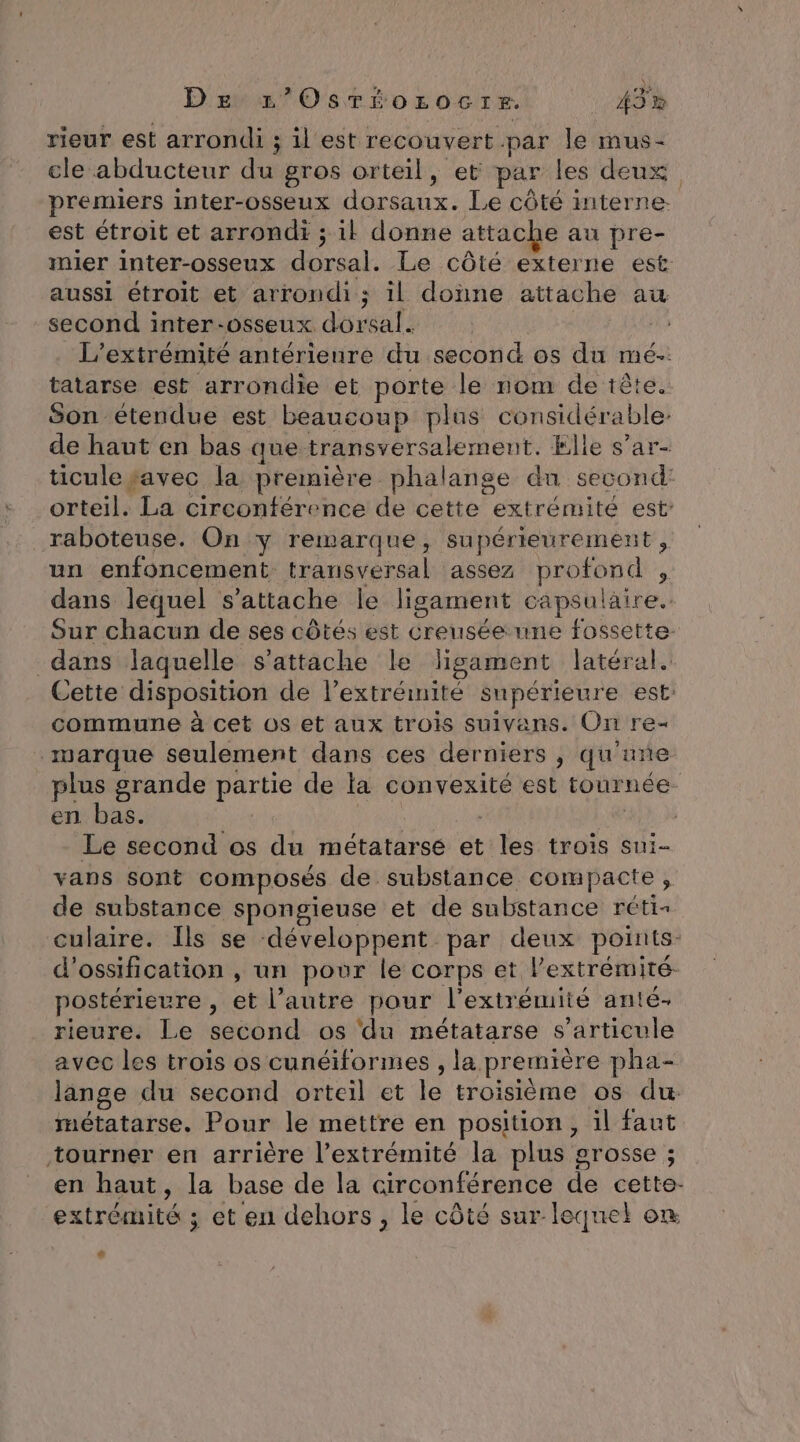 rieur est arrondi ; il est recouvert par le mus- ele abducteur du gros orteil, et par les deux premiers inter-osseux dorsaux. Le côté interne. est étroit et arrondi ; il donne attache au pre- mier inter-osseux dorsal. Le côté externe est aussi étroit et arrondi; il donne attache au second inter-osseux dx sal. L’extrémité antérieure du second os du mé: tatarse est arrondie et porte le nom de tête. Son étendue est beaucoup plus considéi able: de haut en bas que transversalement. Elle s’ar- ticule savec la première phalange dun second orteil. La circonférence de cette extrémite est raboteuse. On y remarque, supérieurement, un enfoncement transversal assez profond , dans lequel s'attache le ligament capsuläire. Sur chacun de ses côtés est creusée ne fossette dans laquelle s'attache le ligament latéral. Cette disposition de l'extrémité supérieure est: commune à cet os et aux trois Sulvans. On re= marque seulement dans ces derniers , qu'une plus grande partie de la convexité est tournée en bas. | Le second os du métatarsé et ue trois sui- vans sont composés de substance compacte, de substance spongieuse et de substance rétih culaire. Îls se développent par deux points: d'ossification , un pour le corps et l'extrémité. postérieure , et l’autre pour l'extrémité anté- rieure. Le second os ‘du métatarse s'articule avec les trois os cunéiformes , la. première pha- lange du second orteil et 1e troisième os du: métatarse. Pour le mettre en position, il faut ‘tourner en arrière l’extrémité la plus grosse ; en haut, la base de la circonférence de cette. extrémité ; et en dehors , le côté sur lequel on La