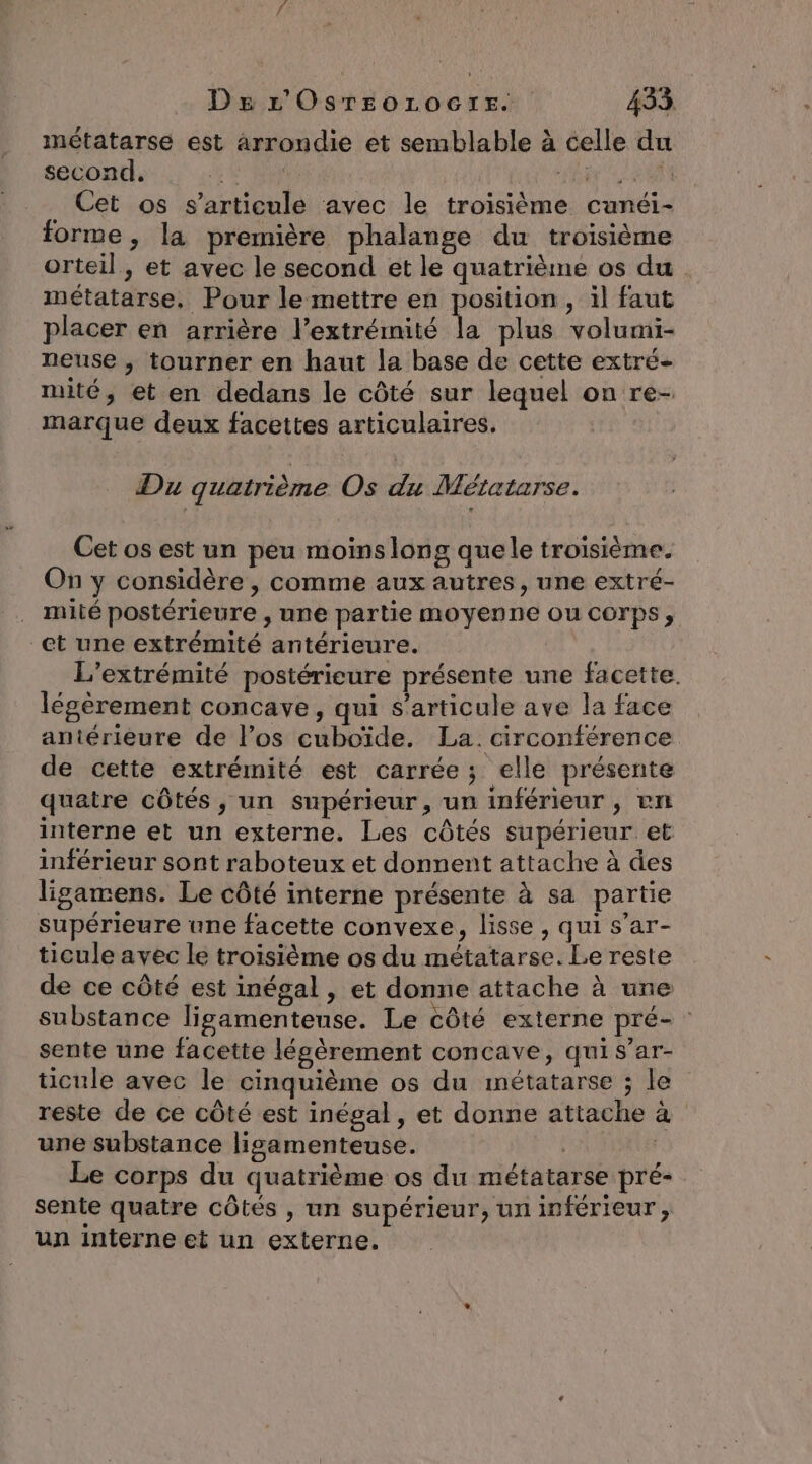 métatarse est arrondie et semblable à celle du second. AS te 2 Cet os s'articule avec le troisième cunéi- forme, la première phalange du troisième orteil, et avec le second et le quatrième os du métatarse, Pour le mettre en position, il faut placer en arrière l'extrémité la plus volumi- neuse , tourner en haut la base de cette extré- mité, et en dedans le côté sur lequel on re- marque deux facettes articulaires. Du quatrième Os du Métatarse. Cet os est un peu moinslong quele troisième. On y considère , comme aux autres, une extré- mité postérieure , une partie moyenne ou COrPS » et une extrémité antérieure. L'’extrémité postérieure présente une facette. légèrement concave, qui s'articule ave la face antérieure de los cuboïde. La. circonférence de cette extrémité est carrée; elle présente quatre côtés , un supérieur, un inférieur , en interne et un externe. Les côtés supérieur et inférieur sont raboteux et donnent attache à des ligamens. Le côté interne présente à sa partie supérieure une facette convexe, lisse , qui s’ar- ticule avec le troisième os du métatarse. Le reste de ce côté est inégal, et donne attache à une substance ligamenteuse. Le côté externe pré- : sente une facette lésèrement concave, quis’ar- ticule avec le cinquième os du métatarse ; le reste de ce côté est inégal, et donne attache à une substance lisgamenteuse. | Le corps du quatrième os du métatarse pré- sente quatre côtés , un supérieur, un inférieur , un interne et un externe.