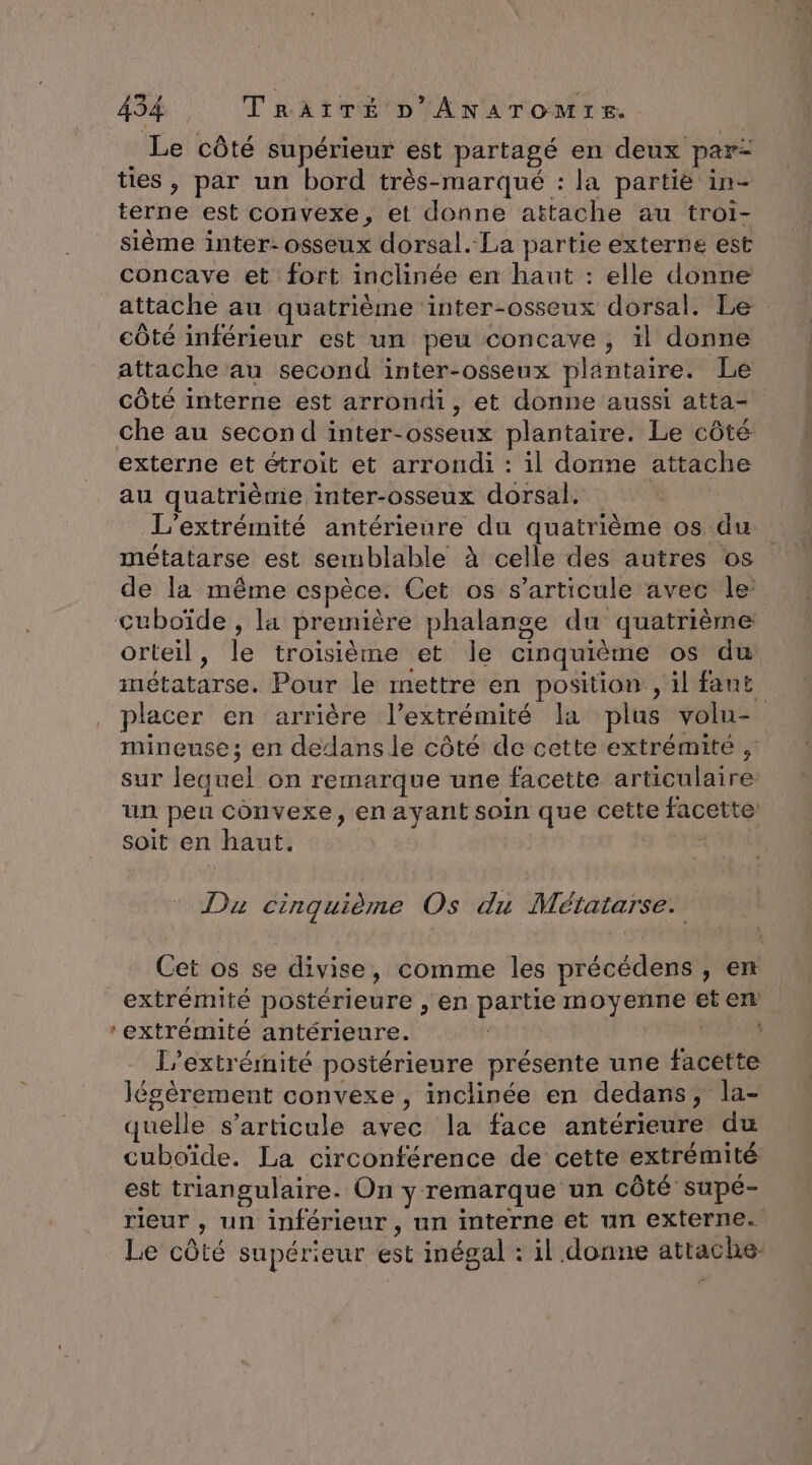Lo Le côté supérieur est partagé en deux par- tes, par un bord très-marqué : la partie in- terne est convexe, et donne attache au troi- concave et fort inclinée en haut : elle donne attache au quatrième inter-osseux dorsal. Le côté inférieur est un peu concave , il donne attache au second inter-osseux plantaire. Le côté interne est arrondi, et donne aussi atta- externe et étroit et arrondi : il donne attache L’extrémité antérieure du quatrième os du métatarse est semblable à celle des autres os de la même espèce. Cet os s'articule avec le: orteil, le troisième et le cinquième os du métatarse. Pour le mettre en position , il fant placer en arrière l'extrémité la plus volu- mineuse; en dedans le côté de cette extrémité ,: sur lequel on remarque une facette articulaire un peu convexe, en ayant soin que cette facette: soit en haut. | Du cinquième Os du Métatarse. Cet os se divise, comme les précédens , en extrémité postérieure , en partie moyenne et em extrémité antérieure. +: OR l'extrémité postérieure présente une facette légèrement convexe , inclinée en dedans, la- quelle s'articule avec la face antérieure du cuboïde. La circonférence de cette extrémité est triangulaire. On y remarque un côté supé- rieur , un inférieur, un interne et un externe. Le côté supérieur est inégal : il donne attache.