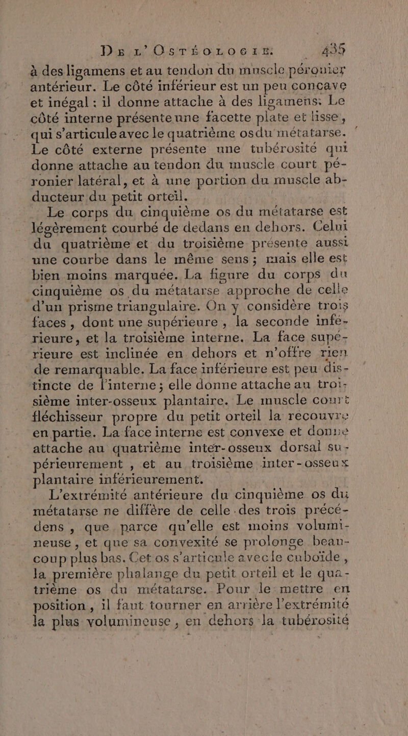 Densité Oo € sh ‘148 à des ligamens et au tendon du muscle pérouier antérieur. Le côté inférieur est un peu concave et inégal : il donne attache à des ligamens: Le côté interne présenteunne facette plate et lisse, qui s’articuleavec le quatrième osdu métatarse. Le côté externe présente une tubérosité qui donne attache au tendon du muscle court pé- ronier latéral, et à une portion du muscle ab- ducteur du petit orteil. Han Le corps du cinquième os du métatarse est légèrement courbé de dedans en dehors. Celui du quatrième et du troisième présente aussi une courbe dans le même sens; mais elle est bien moins marquée. La figure du corps du cinquième os du métatarse approche de celle d’un prisme triangulaire. On y considère trois faces , dont une supérieure, la seconde infé- rieure, et la troisième interne. La face supe- rieure est inclinée en dehors et n’offre rien de remarquable. La face inférieure est peu dis- tincte de l’interne ; elle donne attache au trot- sième inter-osseux plantaire. Le muscle court fléchisseur propre du petit orteil la recouvre en partie. La face interne est convexe et donne attache au quatrième inter-osseux dorsal su- périeurement , et au troïsième inter-osseux plantaire inférieurement. L'extrémité antérieure du cinquième os du métatarse ne diffère de celle .des trois précé- dens , que parce qu'elle est moins volumi- neuse , et que sa convexité se prolonge beau- coup plus bas. Cet os s'articule avecle cuboïde, la première phalange du petit orteil et le qua- trième os du métatarse. Pour le mettre en position, 1l faut tourner en arrière l'extrémité Ja plus volumineuse , en dehors la tubérosité