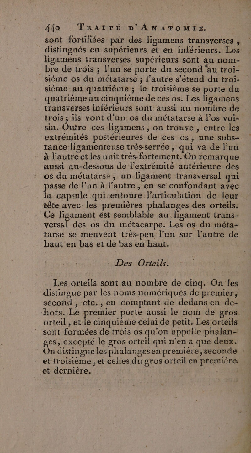 sont fortifñiées par des ligamens transverses , ligamens transverses supérieurs sont au nom- bre de trois ; l’un se porte du second ‘au troi- sième os du métatarse ; l’autre s'étend du troi- sième au quatrième ; le troisième se porte du quatrième au cinquième de ces os. Les ligamens transverses inférieurs sont aussi au nombre de trois ; ils vont d’un os du métatarse à l'os voi- sin. Outre ces ligamens , on trouve , entre les extrémités postérieures de ces os, une subs- tance ligamenteuse très-serrée, qui va de l’un à l’autre et les unit très-fortement. On remarque aussi au-dessous de l’extrémité antérieure des os du métatarse , un ligament transversal qui passe de l’un à l’autre, en se confondant avec la capsule qui entoure l'articulation de leur tête avec les premières phalanges des orteils: versal des vs du métacarpe. Les os du méta- tarse se meuvent très-peu l’un sur l’autre de haut en bas et de bas en haut. - Des Orteils. Les orteils sont au nombre de cinq. On les distingue par les noms numériques de premier, second , etc., en comptant de dedans en de- hors. Le premier porte aussi le nom de gros orteil , et le cinquième celui de petit. Les orteils ses, excepté le gros orteil qui n’en a que deux. On distingue les phalangesen première, seconde et dernière. NS) 4