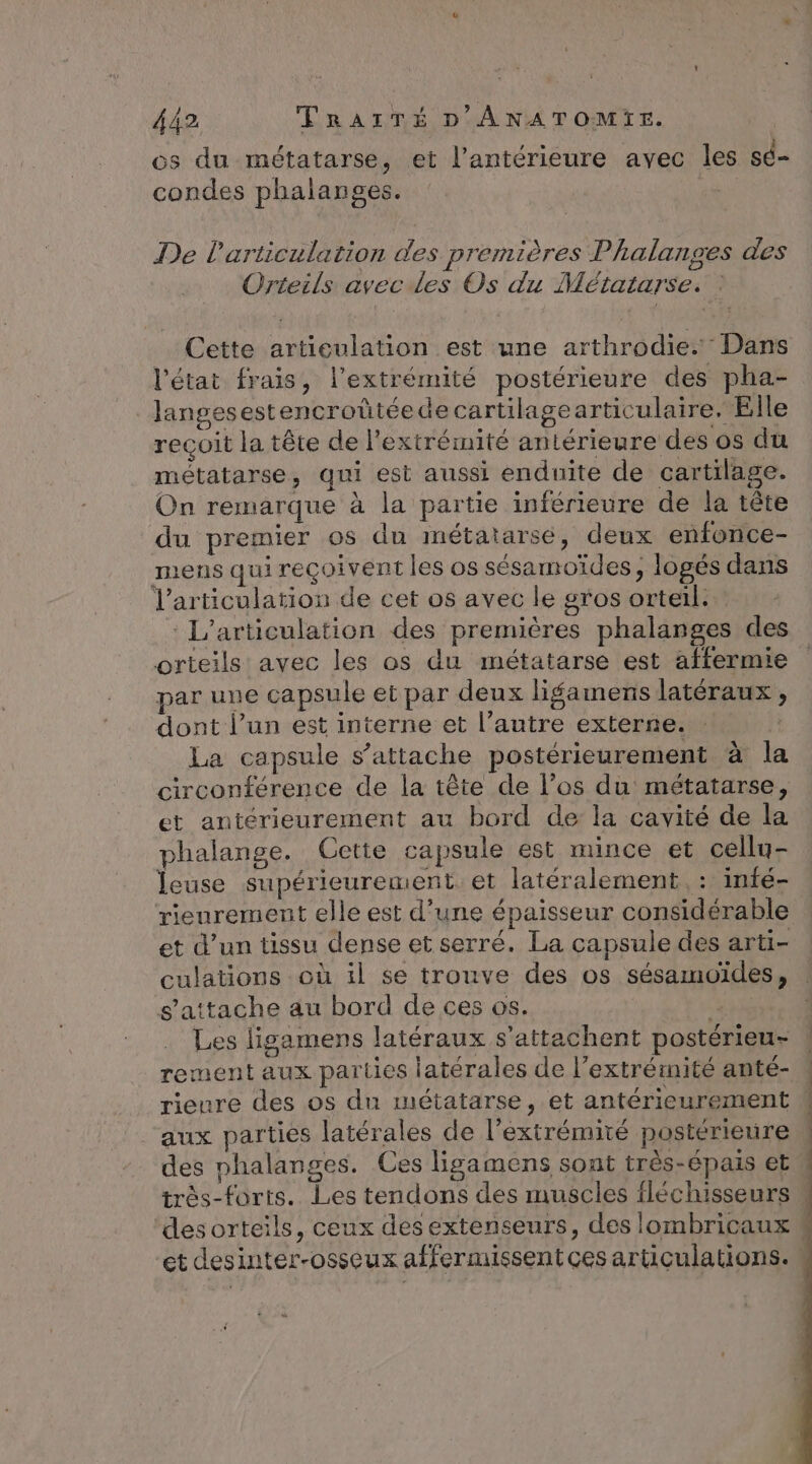 , 21 ï os du métatarse, et l’antérieure avec les sé- condes phalangses. | De Particulation des premières Phalanges des Orteils avec les Os du Métatarse. Cette articulation est une arthrodie. Dans l'état frais, l'extrémité postérieure des pha- langesestencroûtéedecartilagearticulaire. Elle reçoit la tête de l'extrémité antérieure des os du métatarse, qui est aussi enduite de cartilage. On remarque à la partie inférieure de la tête du premier os du métatarsé, deux enfonce- mens qui reçoivent les os sésamoïdes, logés dans l'articulation de cet os avec le gros orteïl:: : L'articulation des premières phalanges des orteils avec les os du métatarse est affermie par une capsule et par deux lifamens latéraux , dont l’un est interne et l’autre externe. : Fi La capsule s'attache postérieurement à 1 circonférence de la tête de l'os du métatarse, et antérieurement au bord de: la cavité de la phalange. Cette capsule est mince et cellu- leuse supérieurement. et latéralement : infé- rienrement elle est d’une épaisseur considérable et d’un tissu dense et serré. La capsule des arti- culations où il se trouve des os sésamoïdes, s'attache au bord de ces os. Les ligamens latéraux s’attachent postérieu- rement aux parties latérales de l’extrémité anté- rieure des os du métatarse, et antérieurement ( “aux parties latérales de l'extrémité postérieure des phalanges. Ces ligamens sont très-épais et très-foris. Les tendons des muscles fléchisseurs desorteils, ceux desextenseurs, des lombricaux et desinter-osscux affermissentces articulations.