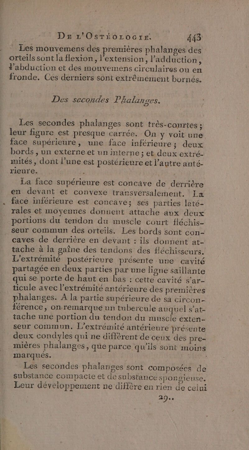 Les mouvemens des premières phalanges des orteils sont la flexion, l'extension, l’adduction, labduction et des mouvemens cirenlaires ou en fronde. Ces derniers sônt extrêmement bornés. Des secondes Phalanses. Les secondes phalanges sont très-courtes ; leur figure est presque carrée. On y voit une face supérieure, une face inférieure; deux bords , un externe et un interne ; et deux extré- mités, dont l'une est postérieure et l’autre anté- rieure. A LR La face supérieure est concave de derrière en devant et convexe transversalement. La face inférieure est concave; ses parties laté- rales et moyennes donnent attache aux deux portions du tendon du muscle court fléchis- seur commun des orteils. Les bords sont con- caves de derrière en devant : ils donnent at- tache à la gaîne des tendons des fléchisseurs. L'extrémité postérieure présente une cavité partagée en deux parties par une ligne saillante qui se porte de haut en bas : cette cavité s’ar- ticule avec l’extrémité antérieure des premières phalanges. À la partie supérieure de sa circon- férence, on-remarqué un tnbercule auquel s’at- tache une portion du tendon du muscle exten- seur commun. L’extrémité antérieure présente deux condyles qui ne différent de ceux des pre- mières phalanges ) que parce qu’ils sont moins marqués. Les secondes phalariges sont composées de substance compacte et de substance spongieuse. Leur développement ne diffère en rien de ceiui 29e