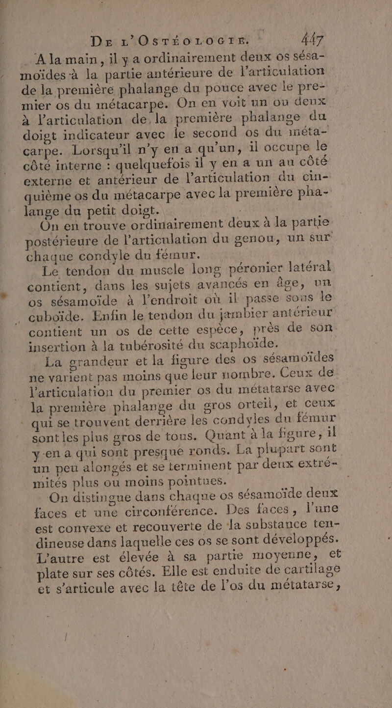 D£e L’OsTéÉoLOoGtr=. AT A la-main, il y a ordinairement deux os sésa- moïdes-à la partie antérieure de l'articulation de la première phalange du pouce avec le pre- mier os du métacarpe. On en voit un où deux à l'articulation de, la première phalange dut doigt indicateur avec le second os du iéta- carpe. Lorsqu'il n'y en a qu'un, 1l occupe le côté interne : quelquefois il y en a un au côté externe et antérieur de l'articulation du cin- quième os du métacarpe avec la première pha- lange du petit doigt. On en trouve ordinairement deux à la partie postérieure de l'articulation du genou, un sur chaque condyle du fémur. Le tendon du muscle long péronier latéral contient, dans les sujets avancés en âge, un os sésamoïde à l'endroit où il passe sous le cuboïde. Enfin le tendon du jæmbier antérieur contient un os de cette espèce, près de son. insertion à la tubérosité du scaphoïde. F La grandeur et la ligure des 05 sésamoïdes ne varient pas moins que leur nombre. Ceux de: l'articulation du premier os du métatarse avec la première phalange du gros orteil, et ceux qui se trouvent derrière les condyles du fémur sont les plus gros de tous. Quant à la figure, il y-en a qui sont presque ronds. La plupart sont un peu alongés et se terminent par deux extré= mités plus ou moins pointues. On distingue dans chaque os sésamoïde deux faces et une circonférence. Des faces, l’une est convexe et recouverte de ‘la substance ten- dineuse dans laquelle ces os se sont développés. L'autre est élevée à sa partie moyenne, et plate sur ses côtés. Elle est enduite de cartilage : Es et s'articule avec la tête de l’os du métatarse,