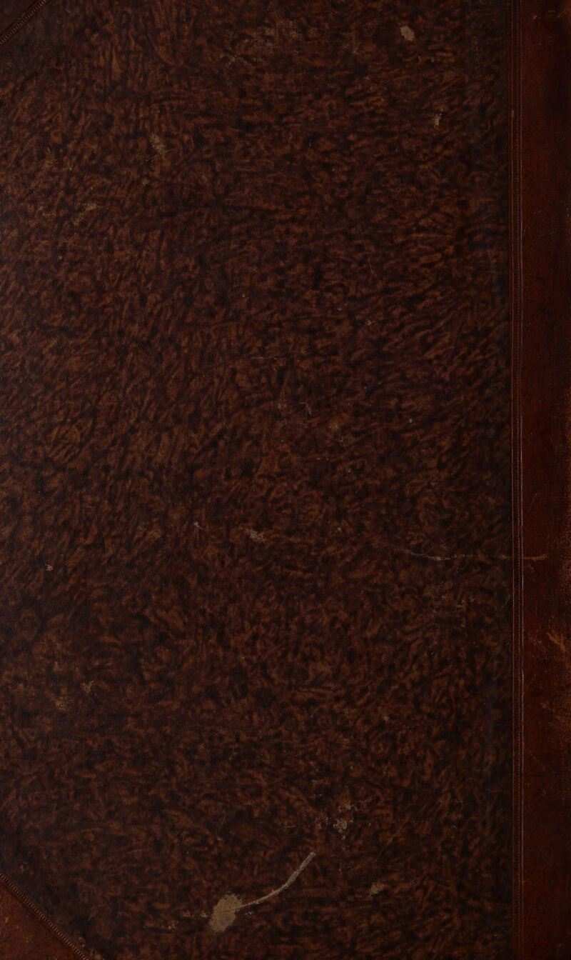 jE #2 id Y \ + is Te D # % LE TARREN @ S | Le F { à À DEP 7. ; à EE À +0 Le Gi Et À dal N'a # Lu ” ne : i LA ù 4 ed F * VI Ya ; a 2e Ne ne 7 2: Ÿ » > | à se. : 4 _ . Cu N x tes PHARES en PT En ER RO T rerEp mes TN LAN ee NO TS LT CURE eS RDS E PRE ter re pese par = F PARRE TRE à TE R EE rU 2 RES RE PET EMR EIRE AT ETTE Lai EL ÿ PEL ER tue | pes tr Æ Fe FE qe 4: 2 À RES an ne gi me eu mn LU = ture me à min mor mn mn Aa Den _ = GE