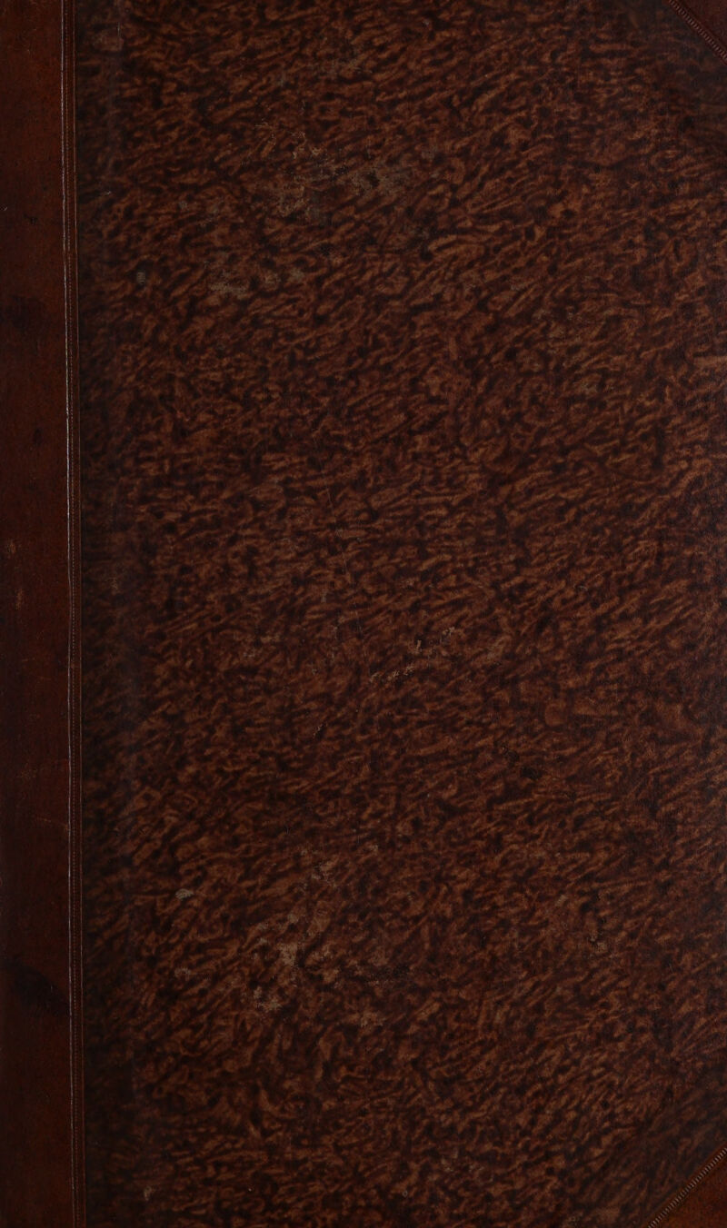 Ko, #73 SES + 1 L- F1 + h « t # : £ + de ;* : à 20 + : é 3 ù 4 ke 4 ET À » 4 - Æ | n AS “ + A + ‘ f - + “ * «y k 5 s s E S ee ; SES ES * ; Le cé )