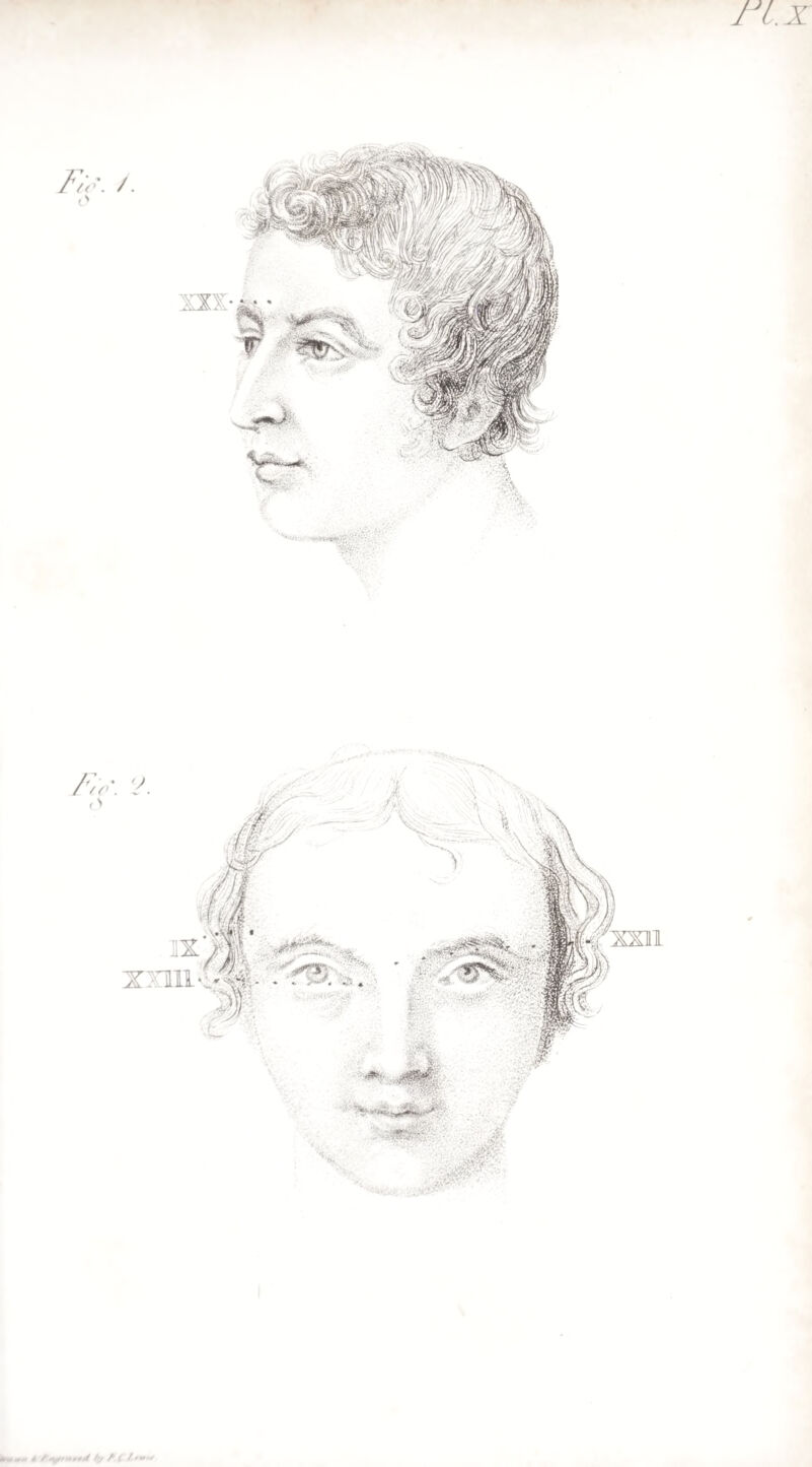 ri.x