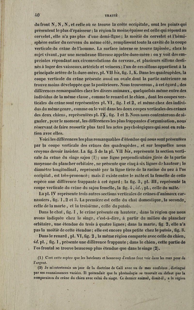 du front N, N, N, et celle où se trouve la crête occipitale, sont les points qui présentent le plus d’épaisseur ; la région la moins épaisse est celle qui répond au cervelet, elle n’a pas plus d’une demi-ligne; la moitié du cervelet et l’hémi¬ sphère entier du cerveau du même côté, remplissent toute la cavité de la coupe verticale du crâne de l’homme. La surface interne se trouve tapissée, chez le sujet vivant, par une membrane fibreuse appelée dure-mère : on y voit des em¬ preintes répondant aux circonvolutions du cerveau, et plusieurs sillons desti¬ nés à loger des vaisseaux artériels et veineux ; l’un de ces sillons appartient à la principale artère de la dure-mère, pi. YI1 bis, fig. 1, K. Dans les quadrupèdes, la coupe verticale du crâne présente aussi un ovale dont la partie antérieure se trouve moins développée que la postérieure. Nous trouverons , à cet égard , des différences remarquables chez les divers animaux, quelquefois même entre des individus de la même classe , comme le renard et le chien, dont les coupes ver¬ ticales du crâne sont représentées pi. VI, fig. 1 et 2, et même chez des indivi¬ dus du même genre, comme on le voit dans les deux coupes verticales des crânes des deux chiens, représentées pi. IX, fig. 1 et 2. Nous nous contenterons de si¬ gnaler , peur le moment, les différences les plus frappantes d’organisation, nous réservant de faire ressortir plus tard les actes psychologiques qui sont en rela- t z tion avec elles. Voici les différences les plus remarquables d’èteiïdue qui nous sont présentées par la coupe verticale des crânes des quadrupèdes, et sur lesquelles nous croyons devoir insister. La fig. 5 de la pi. VII bis, représente la section verti¬ cale du crâne du singe sajou (1) ; une ligne perpendiculaire Jtirée de la partie moyenne du plancher orbitaire, ne présente que cinq à six lignes de hauteur ; le diamètre longitudinal, représenté par la ligne tirée de la racine du nez à l’os occipital, est très-prononcé ; mais il existe entre le mâle et la femelle de cette espèce une différence frappante à cet égard; la fig. S, pi. III, représente la coupe verticale du crâne du sajou femelle, la fig. -4 , id., pl., celle du mâle. La pl. IV représente trois autres sections verticales de crânes d’animaux car¬ nassiers , fig. 1,2 et S. La première est celle du chat domestique, la seconde, celle de la marte , et la troisième, celle du putois. Dans le chat, fig. 1 , le crâne présente en hauteur, dans la région que nous avons indiquée chez le singe, c’est-à-dire, à partir du milieu du plancher orbitaire, une étendue de trois à quatre lignes; dans la marte, fig. 2, elle n’a pas la moitié de cette étendue ; elle est encore plus petite chez le putois, fig. ÎB. Dans le renard, pl. VI, fig. 2 , la même région comparée avec celle du chien, id. pl., fig. 1, présente une différence frappante ; dans le chien, cette partie de l’os frontal se trouve beaucoup plus étendue que dans le singe (2). (1 ) C’est cette espèce que les bateleurs et beaucoup d'enfans font voir dans les rues pour de l’argent. (2) Je m’entretenais un jour de la doctrine de Gall avec un de mes confrères , distingue' par ses connaissances variées. Il prétendait que la phrénologie se trouvait en défaut par la comparaison du crâne du ebieu avec celui du singe. Ce dernier animal, disait-il, a la région