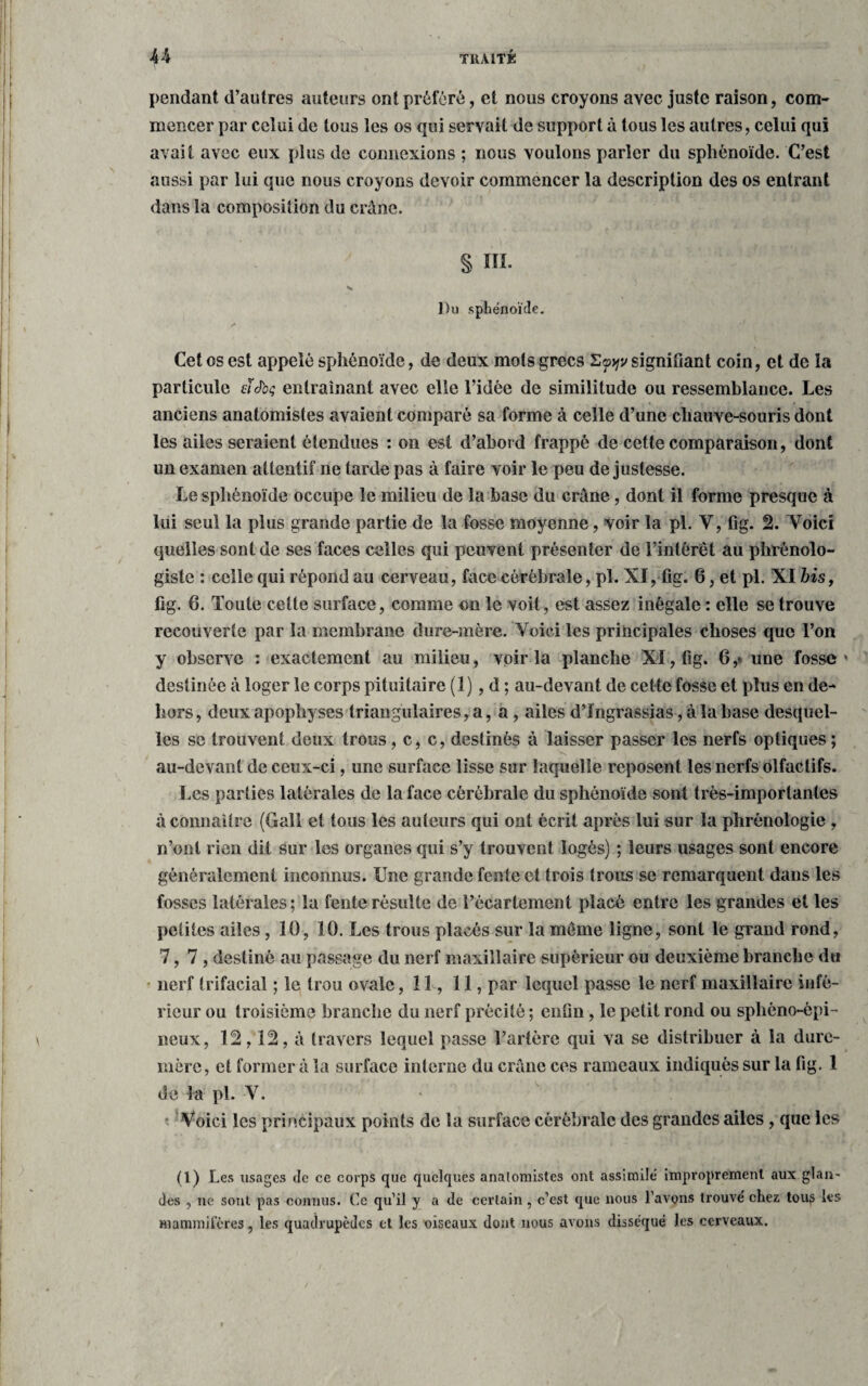 pendant d’autres auteurs ont préféré, et nous croyons avec juste raison, com¬ mencer par celui de tous les os qui servait de support à tous les autres, celui qui avait avec eux plus de connexions ; nous voulons parler du sphénoïde. C’est aussi par lui que nous croyons devoir commencer la description des os entrant dans la composition du crâne. § III. Du sphénoïde. s Cet os est appelé sphénoïde, de deux mots grecs signifiant coin, et de la particule cïJbç entraînant avec elle l’idée de similitude ou ressemblance. Les anciens anatomistes avaient comparé sa forme à celle d’une chauve-souris dont les ailes seraient étendues : on est d’abord frappé de cette comparaison, dont un examen attentif ne tarde pas à faire voir le peu de justesse. Le sphénoïde occupe le milieu de la base du crâne, dont il forme presque à lui seul la plus grande partie de la fosse moyenne, voir la pl. Y, fig. 2. Yoici quelles sont de ses faces celles qui peuvent présenter de l’intérêt au phrénolo- giste : celle qui répond au cerveau, face cérébrale, pl. XI, fig. 6, et pl. XI bis, fig. 6. Toute cette surface, comme on le voit, est assez inégale : elle se trouve recouverte par la membrane dure-mère. Voici les principales choses que l’on y observe : exactement au milieu, voir la planche Xï,fig. 6,« une fosse' destinée à loger le corps pituitaire (1), d ; au-devant de cette fosse et plus en de¬ hors, deux apophyses triangulaires, a, a , ailes d’Ingrassias, à la hase desquel¬ les se trouvent deux trous, c, c, destinés à laisser passer les nerfs optiques; au-devant de ceux-ci, une surface lisse sur laquelle reposent les nerfs olfactifs. Les parties latérales de la face cérébrale du sphénoïde sont très-importantes à connaître (Gall et tous les auteurs qui ont écrit après lui sur la phrénologie , n’ont rien dit sur les organes qui s’y trouvent logés) ; leurs usages sont encore généralement inconnus. Une grande fen te et trois trous se remarquent dans les fosses latérales; la fente résulte de l’écartement placé entre les grandes et les petites ailes, 10, 10. Les trous placés sur la même ligne, sont le grand rond, 7,7, destiné au passage du nerf maxillaire supérieur ou deuxième branche du nerf trifacial ; le trou ovale, 11, 11, par lequel passe le nerf maxillaire infé¬ rieur ou troisième branche du nerf précité ; enfin, le petit rond ou splièno-èpi- neux, 12,12, à travers lequel passe l’artère qui va se distribuer à la dure- mère, et former à la surface interne du crâne ces rameaux indiqués sur la fig. 1 de la pl. Y. Voici les principaux points de la surface cérébrale des grandes ailes, que les (1) Les usages de ce corps que quelques analomistes ont assimile improprement aux glan¬ des , ne sont pas connus. Ce qu’il y a de certain, c’est que nous l’avons trouvé chez tous les mammifères, les quadrupèdes et les oiseaux dont nous avons disséqué les cerveaux.