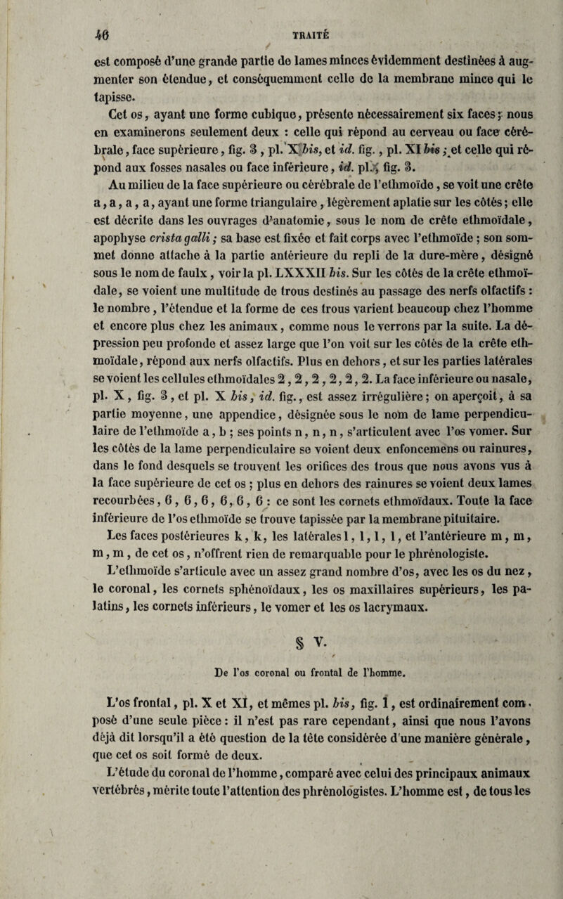 est composé d’une grande partie do lames minces évidemment destinées à aug¬ menter son étendue, et conséquemment cello de la membrane mince qui le tapisse. Cet os, ayant une forme cubique, présente nécessairement six faces ; nous en examinerons seulement deux : celle qui répond au cerveau ou face céré¬ brale , face supérieure, fig. $ , pi. X bis, et id. fig., pi. XI bis ,et celle qui ré¬ pond aux fosses nasales ou face inférieure, id. pl.^ fig. Au milieu de la face supérieure ou cérébrale de l’ethmoïde, se voit une crête a, a, a, a, ayant une forme triangulaire, légèrement aplatie sur les côtés ; elle est décrite dans les ouvrages d’anatomie, sous le nom de crête ethmoïdale, apophyse crista galli ; sa base est fixéo et fait corps avec Pethmoïde ; son som¬ met donne attache à la partie antérieure du repli de la dure-mère, désigné sous le nom de faulx, voir la pl. LXXXII bis. Sur les côtés de la crête ethmoï¬ dale, se voient une multitude de trous destinés au passage des nerfs olfactifs : le nombre, l’étendue et la forme de ces trous varient beaucoup chez l’homme et encore plus chez les animaux, comme nous le verrons par la suite. La dé¬ pression peu profonde et assez large que l’on voit sur les côtés de la crête eth¬ moïdale , répond aux nerfs olfactifs. Plus en dehors, et sur les parties latérales se voient les cellules ethmoïdales %, 2,2,2, 2, % La face inférieure ou nasale, pl. X, fig. S, et pl. X bis, id. fig., est assez irrégulière; on aperçoit, à sa partie moyenne, une appendice, désignée sous le nom de lame perpendicu¬ laire de l’ethmoïde a, b ; ses points n, n, n, s’articulent avec l’os vomer. Sur les côtés de la lame perpendiculaire se voient deux enfoncemens ou rainures, dans le fond desquels se trouvent les orifices des trous que nous avons vus à la face supérieure de cet os ; plus en dehors des rainures se voient deux lames recourbées, 6, 6,6, 6, 6, 6 : ce sont les cornets ethmoïdaux. Toute la face inférieure de l’os ethmoïde se trouve tapissée par la membrane pituitaire. Les faces postérieures k, k, les latérales 1, 1,1, 1, et l’antérieure m, m, m, m , de cet os, n’offrent rien de remarquable pour le plirénologisle. L’ellimoïde s’articule avec un assez grand nombre d’os, avec les os du nez, le coronal, les cornets sphénoïdaux, les os maxillaires supérieurs, les pa¬ latins , les cornets inférieurs, le vomer et les os lacrymaux. § V. De l’os coronal ou frontal de l’homme. L’os frontal, pl. X et XI, et mêmes pl. bis, fig. 1, est ordinairement com. posé d’une seule pièce : il n’est pas rare cependant, ainsi que nous l’avons déjà dit lorsqu’il a été question de la tête considérée d'une manière générale, que cet os soit formé de deux. L’étude du coronal de l’homme, comparé avec celui des principaux animaux vertébrés, mérite toute l’attention des phrènologistes. L’homme est, de tous les