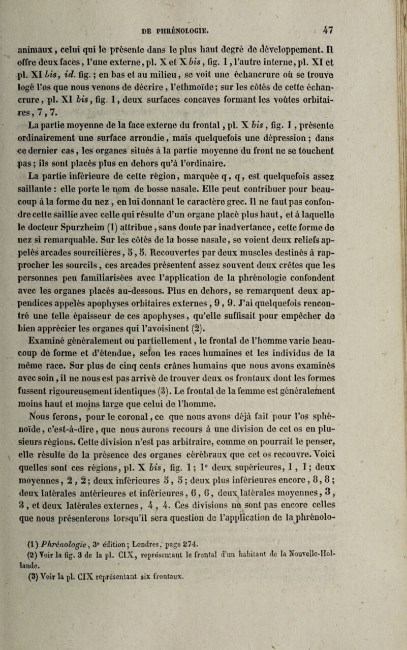 animaux, celui qui le présente dans le plus haut degré de développement. Il offre deux faces, l’une externe, pi. X et X bis, fig. 1, l’autre interne, pi. XI et pi. XI Lis, id. fig. ; en bas et au milieu, se voit une échancrure où se trouve logé l’os que nous venons de décrire, l’ethmoïde ; sur les côtés de cette échan¬ crure , pi. XI bis, fig. 1, deux surfaces concaves formant les voûtes orbitai¬ res ,7,7. La partie moyenne de la face externe du frontal, pi. X bis , fig. I , présente ordinairement une surface arrondie, mais quelquefois une dépression ; dans ce dernier cas, les organes situés à la partie moyenne du front ne se touchent pas ; ils sont placés plus en dehors qu’à l’ordinaire. La partie inférieure de celte région, marquée q, q, est quelquefois assez saillante : elle porte le nom de bosse nasale. Elle peut contribuer pour beau¬ coup à la forme du nez , en lui donnant le caractère grec. Il ne faut pas confon¬ dre cette saillie avec celle qui résulte d’un organe placé plus haut, et à laquelle le docteur Spurzheim (1) attribue, sans doute par inadvertance, cette forme de nez si remarquable. Sur les côtés de la bosse nasale, se voient deux reliefs ap¬ pelés arcades sourcilières ,5,5. Recouvertes par deux muscles destinés à rap¬ procher les sourcils, ces arcades présentent assez souvent deux crêtes que les personnes peu familiarisées avec l’application de la phrénologie confondent avec les organes placés au-dessous. Plus en dehors, se remarquent deux ap¬ pendices appelés apophyses orbitaires externes ,9,9. J’ai quelquefois rencon¬ tré une telle épaisseur de ces apophyses, qu’elle suffisait pour empêcher do bien apprécier les organes qui l’avoisinent (2). Examiné généralement ou partiellement, le frontal de l’homme varie beau¬ coup de forme et d’étendue, selon les races humaines et les individus de la même race. Sur plus de cinq cents crânes humains que nous avons examinés avec soin, il ne nous est pas arrivé de trouver deux os frontaux dont les formes fussent rigoureusement identiques (S). Le frontal de la femme est généralement moins haut et moins large que celui de l’homme. Nous ferons, pour le coronal,ce que nous avons déjà fait pour l’os sphé¬ noïde, c’est-à-dire, que nous aurons recours à une division de cet os en plu¬ sieurs régions. Cette division n’est pas arbitraire, comme on pourrait le penser, elle résulte de la présence des organes cérébraux que cet os recouvre. Voici quelles sont ces régions, pi. X bis, fig. 1 ; 1° deux supérieures, 1,1; deux moyennes ,2,2; deux inférieures 5,5; deux plus inférieures encore ,8,8; deux latérales antérieures et inférieures, 6, G, deux latérales moyennes, 3, 3 , et deux latérales externes, 4 , 4. Ces divisions ne sont pas encore celles que nous présenterons lorsqu’il sera question de l’application de la phrénolo- (1) Phrénologie, 3e édition; Londres, page 274. (2) Voir la fig. 3 de la pl. CIX, représentant le frontal d’un habitant de la Nouvelle-Hol¬ lande. (3) Voir la pl. CIX représentant six frontaux.