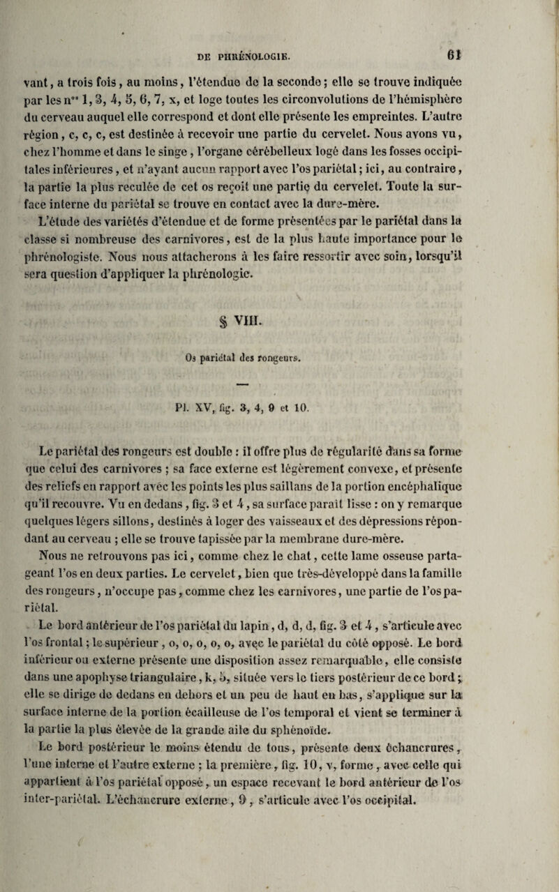 vaut, a trois fois, au moins, l'étendue de la seconde ; elle se trouve indiquée par les n091,3, 4, 5, 6, 7, x, et loge toutes les circonvolutions de l’hémisphère du cerveau auquel elle correspond et dont elle présente les empreintes. L’autre région, c, c, c, est destinée à recevoir une partie du cervelet. Nous avons vu, chez l’homme et dans le singe, l’organe cérébelleux logé dans les fosses occipi¬ tales inférieures, et n’ayant aucun rapport avec l’os pariétal ; ici, au contraire, la partie la plus reculée de cet os reçoit une partie du cervelet. Toute la sur¬ face interne du pariétal se trouve en contact avec la dure-mère. L’étude des variétés d’étendue et de forme présentées par le pariétal dans la classe si nombreuse des carnivores, est de la plus haute importance pour le phrénologiste. Nous nous attacherons à les faire ressortir avec soin, lorsqu’il sera question d’appliquer la phrénologie. S vin. Os pariétal des rongeurs. PJ. XV, fig. 3, 4, 9 et 10. Le pariétal des rongeurs est double : il offre plus de régularité dans sa forme que celui des carnivores ; sa face externe est légèrement convexe, et présente des reliefs en rapport avec les points les plus saillans de la portion encéphalique qu’il recouvre. Vu en dedans , fig. 3 et 4, sa surface parait lisse : on y remarque quelques légers sillons, destinés à loger des vaisseaux et des dépressions répon¬ dant au cerveau ; elle se trouve tapissée par la membrane dure-mère. Nous ne retrouvons pas ici, comme chez le chat, cette lame osseuse parta¬ geant l’os en deux parties. Le cervelet, bien que très-dèveloppé dans la famille des rongeurs, n’occupe pas, comme chez les carnivores, une partie de l’os pa¬ riétal. Le bord antérieur de l’os pariétal du lapin, d, d, d, fig. 3 et 4, s’articule avec l’os frontal ; le supérieur , o, o, o, o, o, avec le pariétal du côté opposé. Le bord inférieur ou externe présente une disposition assez remarquable, elle consiste dans une apophyse triangulaire, k, h, située vers le tiers postérieur de ce bord ; elle se dirige de dedans en dehors et un peu de haut en bas, s’applique sur la surface interne de la portion écailleuse de l’os temporal et vient se terminer à la partie la plus élevée de la grande aile du sphénoïde. Le bord postérieur le moins étendu de tous, présente deux échancrures, l’une interne et l’autre externe ; la première, fig. 10, v, forme , avec celle qui appartient à l’os pariétal opposé, un espace recevant le boFd antérieur de l’os inter-pariétal. L’échancrure externe, 9, s’articule avec l’os occipital.