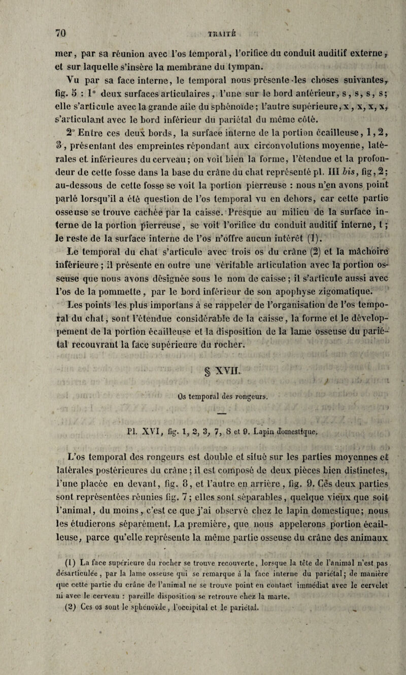 mer, par sa réunion avec l’os temporal, l’orifice du conduit auditif externe, et sur laquelle s’insère la membrane du tympan. Vu par sa face interne, le temporal nous présente les choses suivantes., fig. 5 : 1° deux surfaces articulaires , l’une sur le bord antérieur, s, s, s, s; elle s’articule avec la grande aile du sphénoïde ; l’autre supérieure, x, x, x, x, s'articulait avec le bord inférieur du pariétal du même côté. 2,J Entre ces deux bords, la surface interne de la portion écailleuse, 1,2, 8, présentant des empreintes répondant aux circonvolutions moyenne, laté¬ rales et inférieures du cerveau; on voit bien la forme, l’étendue et la profon¬ deur (le cette fosse dans la base du crâne du chat représenté pi. III bis, fig, 2 ; au-dessous de cette fosse se voit la portion pierreuse : nous n’en avons point parlé lorsqu’il a été question de l’os temporal vu en dehors, car cette partie osseuse se trouve cachée par la caisse. Presque au milieu de la surface in¬ terne de la portion pierreuse, se voit l’orifice du conduit auditif interne, t ; le reste de la surface interne de l’os n’offre aucun intérêt (1). Le temporal du chat s’articule avec trois os du crâne (2) et la mâchoire inférieure ; il présente en outre une véritable articulation avec la portion os¬ seuse que nous avons désignée sous le nom de caisse ; il s’articule aussi avec l’os de la pommette, par le bord inférieur de son apophyse zigomatique. Les points les plus importons à se rappeler de l’organisation de l’os tempo¬ ral du chat, sont l’étendue considérable de la caisse, la forme et le dévelop¬ pement de la portion écailleuse et la disposition de la lame osseuse du parié¬ tal recouvrant la face supérieure du rocher. § XVII, . - • v ' . ? J » Os temporal ties rongeurs. PL XVI, fig. t, 2, 3, 7, 8 et 0. Lapiu domestique. L’os temporal des rongeurs est double et situé sur les parties moyennes et latérales postérieures du crâne ; il est composé de deux pièces bien distinctes, l’une placée en devant, fig. 8, et l’autre en arrière , fig. 9. Cês deux parties sont représentées réunies fig. 7; elles sont séparables, quelque vieux que soit l’animal, du moins, c’est ce que j’ai observé chez le lapin domestique; nous les étudierons séparément. La première, que nous appelerons portion écail¬ leuse, parce qu’elle représente la même partie osseuse du crâne des animaux (1) La face supérieure du rocher se trouve recouverte, lorsque la tête de ranimai n’est pas. désarticulée , par la lame osseuse qui se remarque à la face interne du pariétal; de manière que cette partie du crâne de l’animal ne se trouve point en contact immédiat avec le cervelet ni avec le cerveau : pareille disposition se retrouve chez la marte. (2) Ces os sont le sphénoïde, l'occipital et le pariétal. 4