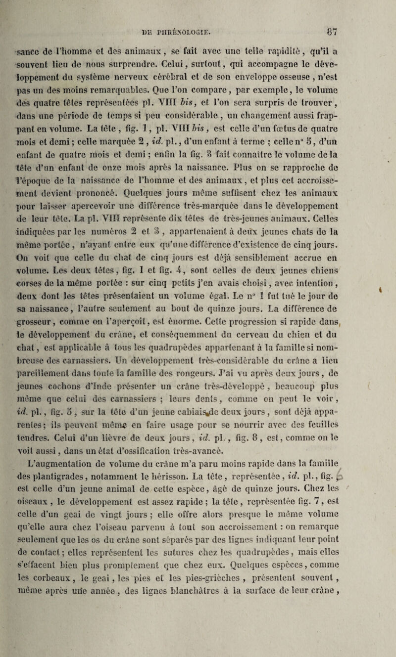 sancc de l’homme et des animaux, se fait avec une telle rapidité, qu’il a souvent lieu de nous surprendre. Celui, surtout, qui accompagne le déve¬ loppement du système nerveux cérébral et de son enveloppe osseuse, n’est pas un des moins remarquables. Que l’on compare, par exemple, le volume des quatre têtes représentées pi. VIII bis, et l’on sera surpris de trouver, dans une période de temps si peu considérable , un changement aussi frap¬ pant en volume. La tête , fig. 1, pi. VIII bis , est celle d’un fœtus de quatre mois et demi ; celle marquée 2 , id. pl., d’un enfant à terme : celle n° 5, d’un enfant de quatre mois et demi ; enfin la fig. S fait connaître le volume de la tête d’un enfant de onze mois après la naissance. Plus on se rapproche de l’époque de la naissance de l’homme et des animaux, et plus cet accroisse¬ ment devient prononcé. Quelques jours même suffisent chez les animaux pour laisser apercevoir une différence très-marquée dans le développement de leur tète. La pl. VIII représente dix têtes de très-jeunes animaux. Celles indiquées par les numéros 2 et 3 , appartenaient à deux jeunes chats de la même portée , n’ayant entre eux qu’une différence d’existence de cinq jours. On voit que celle du chat de cinq jours est déjà sensiblement accrue en volume. Les deux têtes, fig. 1 et fig. -4, sont celles de deux jeunes chiens corses de la même portée : sur cinq petits j’en avais choisi, avec intention , deux dont les têtes présentaient un volume égal. Le nu 1 fut tué le jour de sa naissance, l’autre seulement au bout de quinze jours. La différence de grosseur, comme on l’aperçoit, est énorme. Celle progression si rapide dans, le développement du crâne, et conséquemment du cerveau du chien et du chat, est applicable à tous les quadrupèdes appartenant à la famille si nom¬ breuse des carnassiers. Un développement très-considérable du crâne a lieu pareillement dans toute la famille des rongeurs. J’ai vu après deux jours, de jeunes cochons d’Inde présenter un crâne très-développé , beaucoup plus même que celui des carnassiers ; leurs dents, comme on peut le voir, id. pl., fig. 5 , sur la tête d’un jeune cabiais^e deux jours , sont déjà appa¬ rentes; ils peuvent même en faire usage pour se nourrir avec des feuilles tendres. Celui d’un lièvre de deux jours, id. pl., fig. 8, est, comme on le voit aussi, dans un état d’ossification très-avancé. L’augmentation de volume du crâne m’a paru moins rapide dans la famille des plantigrades, notamment le hérisson. La tête, représentée, id. pl., fig. p est celle d’un jeune animal de cette espèce, âgé de quinze jours. Chez les oiseaux , le développement est assez rapide ; la tête , représentée fig. 7, est celle d’un geai de vingt jours ; elle offre alors presque le même volume qu’elle aura chez l’oiseau parvenu à tout sou accroissement : on remarque seulement que les os du crâne sont séparés par des lignes indiquant leur point de contact ; elles représentent les sutures chez les quadrupèdes, mais elles s'effacent bien plus promptement que chez eux. Quelques espèces, comme les corbeaux, le geai, les pies et les pies-grièches , présentent souvent, même après rnle année, des lignes blanchâtres à la surface de leur crâne,