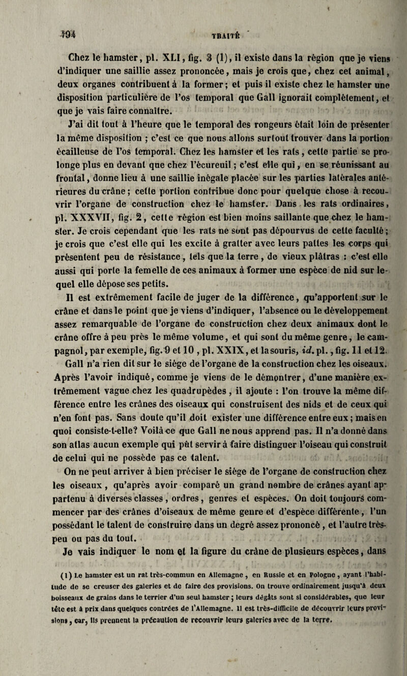 Chez le hamster, pl. XLI, fig. 3 (1), il existe dans la région qne je viens d’indiquer une saillie assez prononcée, mais je crois que, chez cet animal, deux organes contribuent à la former ; et puis il existe chez le hamster une disposition particulière de l’os temporal que Gall ignorait complètement, et que je vais faire connaître. J’ai dit tout à l’heure que le temporal des rongeurs était loin de présenter la même disposition ; c’est ce que nous allons surtout trouver dans la portion écailleuse de l’os temporal. Chez les hamster et les rats, cette partie se pro¬ longe plus en devant que chez l’écureuil ; c’est elle qui, en se réunissant au frontal, donne lieu à une saillie inégale placée sur les parties latérales anté¬ rieures du crâne; cette portion contribue donc pour quelque chose à recou¬ vrir l’organe de construction chez le hamster. Dans les rats ordinaires, pl. XXXVII, fig. 2, cette région est bien moins saillante que chez le ham¬ ster. Je crois cependant que les rats ne sont pas dépourvus de cette faculté ; je crois que c’est elle qui les excite à gratter avec leurs pattes les corps qui présentent peu de résistance , tels que la terre , de vieux plâtras : c’est elle aussi qui porte la femelle de ces animaux à former une espèce de nid sur le¬ quel elle dépose ses petits. Il est extrêmement facile de juger de la différence, qu’apportent sur le crâne et dans le point que je viens d’indiquer, l’absence ou le développement assez remarquable de l’organe de construction chez deux animaux dont le crâne offre à peu près le même volume, et qui sont du même genre, le cam¬ pagnol, par exemple, fig. 9 et 10 , pl. XXIX, et la souris, irf.pl., fig. 11 et 12. Gall n’a rien dit sur le siège de l’organe de la construction chez les oiseaux. Après l’avoir indiqué, comme je viens de le démontrer, d’une manière ex¬ trêmement vague chez les quadrupèdes , il ajoute : l’on trouve la même dif¬ férence entre les crânes des oiseaux qui construisent des nids et de ceux qui n’en font pas. Sans doute qu’il doit exister une différence entre eux ; mais en quoi consiste-t-elle? Voilà ce que Gall ne nous apprend pas. Il n’a donné dans son atlas aucun exemple qui pût servira faire distinguer l’oiseau qui construit de celui qui ne possède pas ce talent. On ne peut arriver à bien préciser le siège de l’organe de construction chez les oiseaux , qu’après avoir comparé un grand nombre de crânes ayant ap¬ partenu à diverses classes, ordres, genres et espèces. On doit toujours com¬ mencer par des crânes d’oiseaux de même genre et d’espèce différente, l’un possédant le talent de construire dans un degré assez prononcé, et l’autre très- peu ou pas du tout. Je vais indiquer le nom et la figure du crâne de plusieurs espèces, dans (l) Le hamster est un rat très-commun en Allemagne , en Russie et en Pologne , ayant l’habi¬ tude de se creuser des galeries et de faire des provisions. On trouve ordinairement jusqu'à deux boisseaux de grains dans le terrier d’un seul hamster ; leurs dégâts sont si considérables, que leur tête est à prix dans quelques contrées de l’Allemagne. 11 est très-difficile de découvrir leurs provi¬ sions , car, ils prennent la précaution de recouvrir leurs galeries avec de la terre.