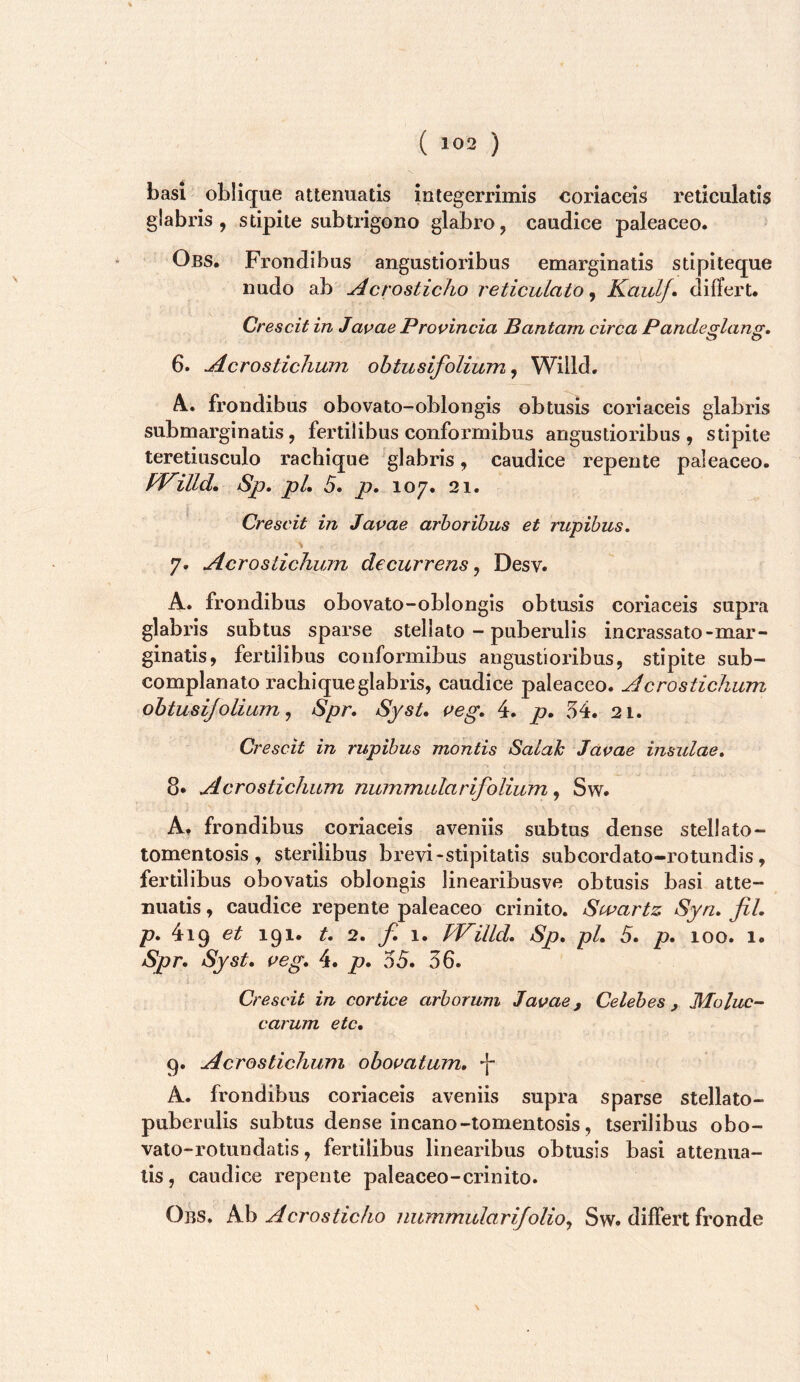 basi oblique attenuatis integerrimis eoriaceis reticulatis glabris, stipite sub trigono glabro, caudice paleaceo. Obs. Frondibus angustioribus emarginatis stipiteque nudo ab Acrosticho reticulato^ KaulJ» differt. Crescit in Jacae Provincia Bantam circa Pandeglang, 6. Acrostichum ohtusifolium ^ Willd, A., frondibus obovato-oblongis obtusis coriaceis glabris submarginatis, fertilibus conformibus angustioribus, stipite teretiusculo rachique glabris, caudice repente paleaceo. fVilld, Sp, pl. 5. p, 107. 21. Crescit in Javae arboribus et rupibus. 7. Acrostichum decurrens ^ Desv. A. frondibus obovato-oblongis obtusis coriaceis supra glabris subtus sparse stellato - puberulis incrassato-mar- ginatis, fertilibus conformibus angustioribus, stipite sub- complanato rachique glabris, caudice paleaceo. Acrostichum obtusifolium ^ Spr. SysU ceg. 4. 54. 21. Crescit in rupibus montis Salak Javae insulae. 8* Acrostichum nummularifolium ^ Sw. A. frondibus coriaceis aveniis subtus dense stellato- tomentosis , sterilibus brevi-stipitatis subcordato-rotundis, fertilibus obovatis oblongis linearibusve obtusis basi atte- nuatis , caudice repente paleaceo crinito. Swartz Syn, JiL p. 419 et 191. t. 2. f, 1. JVilld. Sp, pl, 5, p, 100. 1. Spr, Syst, veg, 4. p, 55. 56. Crescit in cortice arborum Javae, Celebes , Molac- carum etc, 9. Acrostichum obovatum, -[- A. frondibus coriaceis aveniis supra sparse stellato- puberulis subtus dense incano-tomentosis, tserilibus obo- vato-rotundatis, fertilibus linearibus obtusis basi attenua- tis, caudice repente paleaceo-crinito. Obs. ^ a ero Sticho nummularifolioy Sw. differt fronde