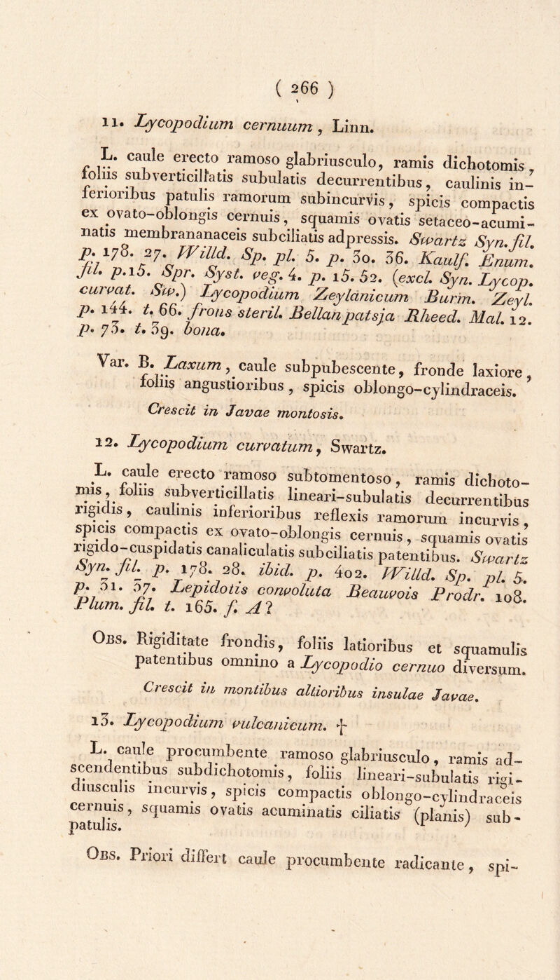 11« LycopodiiiTTi cevTiuuTn j Liim» L. caule erecto ramoso glabriusculo, ramis dichotomis, lolus subverticilfatis subulatis decurrentibus, cauliuis iu- lerioribus patulis ramorum subincurvis, spicis compactis ex ovato oblongis cernuis, scfuamis ovatis setaceo-acumi- natis membrananaceis sub ciliatis ad pressis. Swartz Svn fil p.17^. 27 mud. Sp. pl. 5. p. 3o. 36. Kaulf. Enum. JiL p.iS.Spr. Syst. veg. 4. p. i5. 62. {excL Syn. Eycop. CMvat. S».) Lycopodium Zeyldnicum Burm. ZevL p. iu4. t.m. frons steril Bellanpatsja Rheed. Mal. 12. po 70. t, og. bona» Var. 'B. Laxum subpubescente, fronde laxiore, o iis angustioribus , spicis oblongo-cjlindraceis. Crescit in Jctvcie montosis» 12, Lycopodium curiatum j Swartz. _L, caule erecto ramoso subtomentoso, ramis dichoto- wXl;, o ‘i® lineari-subulatis decurrentibus rigidis, caulinis inferioribus reflexis ramoriun incurvis, spicis compactis ex ovato-oblongis cernuis, squamis ovatis ®®®’“=ulatis subciliatis patentibus. Swartz Syn.fiL p. 176. 28. ihid. p. 4o2. WUld. Sp. pl. B. rw fii , ■“““ Obs. Rigiditate frondis, foliis latioribus et squamulis patentibus omnino a Lycopodio cernuo diversum. Crescit in montibus altioribus insulae Javae. 13. Lycopodium uulcaiiicum. ’■[' L. caule procimbente ramoso glabriusculo, ramis ad- scendentibus subdichotomis, foliis lineari-subulatis rigi- diuscuhs incurvis, spicis compactis oblongo-cylindraceis patX*’ ‘“^““'atis ciliatis (planis) sub- Obs. Priori differt caule procumbente radicante, spi-