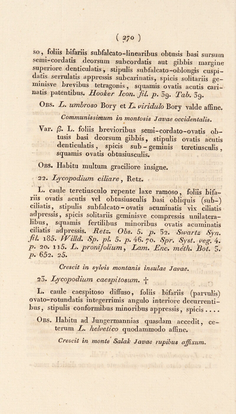 so, foliis bifariis subfalcato-linearibus obtusis basi sursum semi-cordatis deorsum sub cordatis aut gibbis margine superiore denticulatis, stipulis subfalcato-oblongis cuspi- datis, serrulatis appressis sub carinatis, spicis solitariis ge- minisve brevibus tetragonis, squamis ovatis acutis cari- natis patentibus. Hooher Icon. fiL p. 09. Tah. 59. Obs. L, umbroso Bory et L* piridulo Bory valde affine, Communissimuni in ntontosis Jclvne occidentalis. A Var. /?. L. foliis brevioribus semi-cordato-ovatis ob- tusis basi deorsum gibbis, stipulis ovatis acutis denticulatis , spicis sub - geminis teretiusculis , squamis ovatis obtusiusculis. Obs. Habitu multum graciliore insigne. 22. Ly copo dium ciliare^ Retz. L. caule teretiusculo repente laxe ramOso, foliis bifa- riis ovatis acutis vel obtusiusculis basi obliquis (sub-) ciliatis,^ stipulis subfalcato - ovatis acuminatis vix ciliatis adpressis, spicis solitariis geminisve compressis unilatera- libus, squamis fertilibus minoribus ovatis acuminatis ciliatis adpressis. Retz. Obs. 5. p. 02. Swartz Syn. fil. i85. PRilld» Sp. pl, 5. p. 46, 70» Spr. Syst. aeg. 4» p. 20. 115. L. pronifolium^ Lam. Rnc. meth. Rot, fi, p. 652. 25. Crescit in syl\^is montanis insulae Javae. 20. Ly^copodium caespitosum. \ L, caule caesjiitoso diffuso, foliis bifariis (parvulis) ovato-rotundatis integerrimis angulo interiore decurrenti- bus , stipulis conformibus minoribus appressis, spicis .... Obs. Habitu ad Jungermannias quasdam accedit, ce- terum L. hehetico quodammodo affine. Crescit in monte Salak Javae rupibus a^xurn.