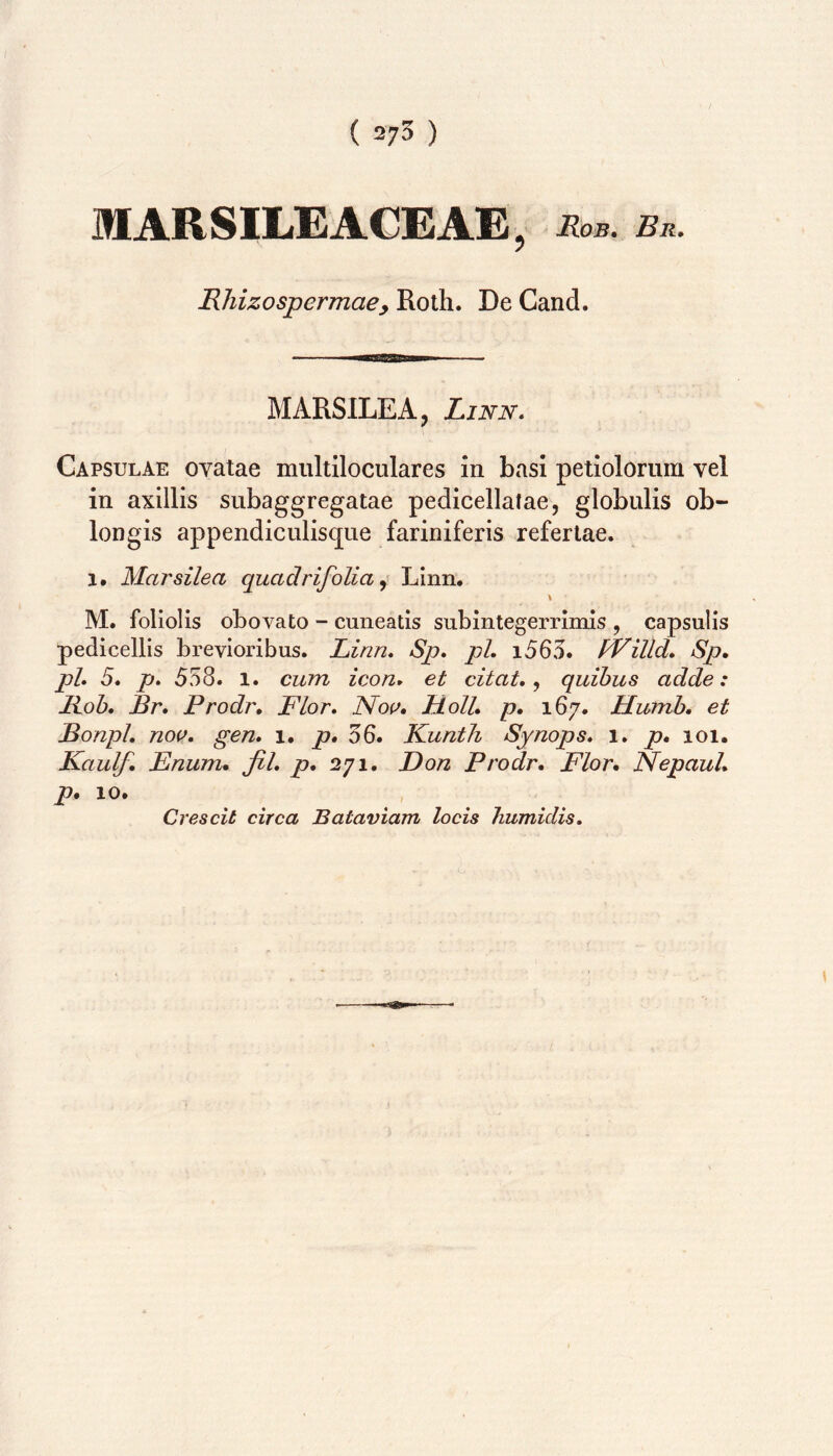 ( =73 ) MARSILEACEAE, Sob. Bb. Bliizospermaey Roth. De Cand. MARSILEA, Linn. Capsulae ovatae multiloculares in basi petiolorum vel in axillis subaggregatae pedicellalae, globulis ob- longis appendiculisque fariniferis refertae. 1, Marsilea quadrifolia Linn, M. foliolis obovato - cuneatis subintegerrimis , capsulis pedicellis brevioribus. Linn* Sp. pL i565. PVilld. Sp, ph 5. p, 558. 1. cum icon> et citat,., quibus adde: Hoh, Br, Prodr, Flor, Noi^, Holi, p, 167. Hunib, et Bonpl, nov, gen, i, p, 56. Kunth Synops, 1. p, ioi. Kaulf, Enum, fil, p, 271. Eon Prodr, Flor, Nepaul, p, 10. Crescit circa Bataviam locis humidis.