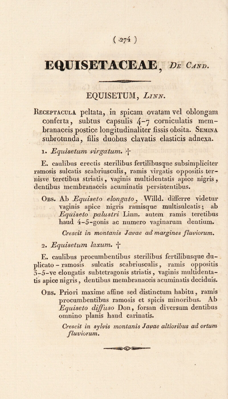( '274: ) E^UISETACEAE, Be caee. I ||||l||T||THi||Uii EQUISETUM, LmN. Receptacul^i peltata, in spicam ovatam vel oblongam conferta, subtus capsulis 4”7 corniculatis mem- branaceis postice longitudinaliter fissis obsita. Semina subrotunda, filis duobus clavatis elasticis adnexa. 1. Equisetum {>irgatum* E. caulibus erectis sterilibus fertilibusque subsimpliciter ramosis sulcatis scabriusculis, ramis virgatis oppositis ter- nisve teretibus striatis, vaginis multidentatis apice nigris , dentibus membranaceis acuminatis persistentibus. Obs. Ab Equiseto elongato ^ Willd. differre videtur vaginis apice nigris ramisque multisulcatis; ab Equiseto palustri Linn. autem ramis teretibus baud 4-5-gonis ac numero vaginarum dentium. Crescit in montanis Javae ad margines fluviorum, 2. Equisetum laxum, ^ E. caulibus procumbentibus sterilibus fertilibusque du- plicato - ramosis sulcatis scabriusculis, ramis oppositis 5_5_ve elongatis subtetragonis striatis, vaginis multidenta- tis apice nigris, dentibus membranaceis acuminatis deciduis. Obs. Priori maxime affine sed distinetum babitu, ramis procumbentibus ramosis et spicis minoribus. Ab Equiseto diffuso Don, forsan diversum dentibus omnino planis haud carinatis. Crescit in sylvis montanis Javae altioribus ad ortum fluviorum.