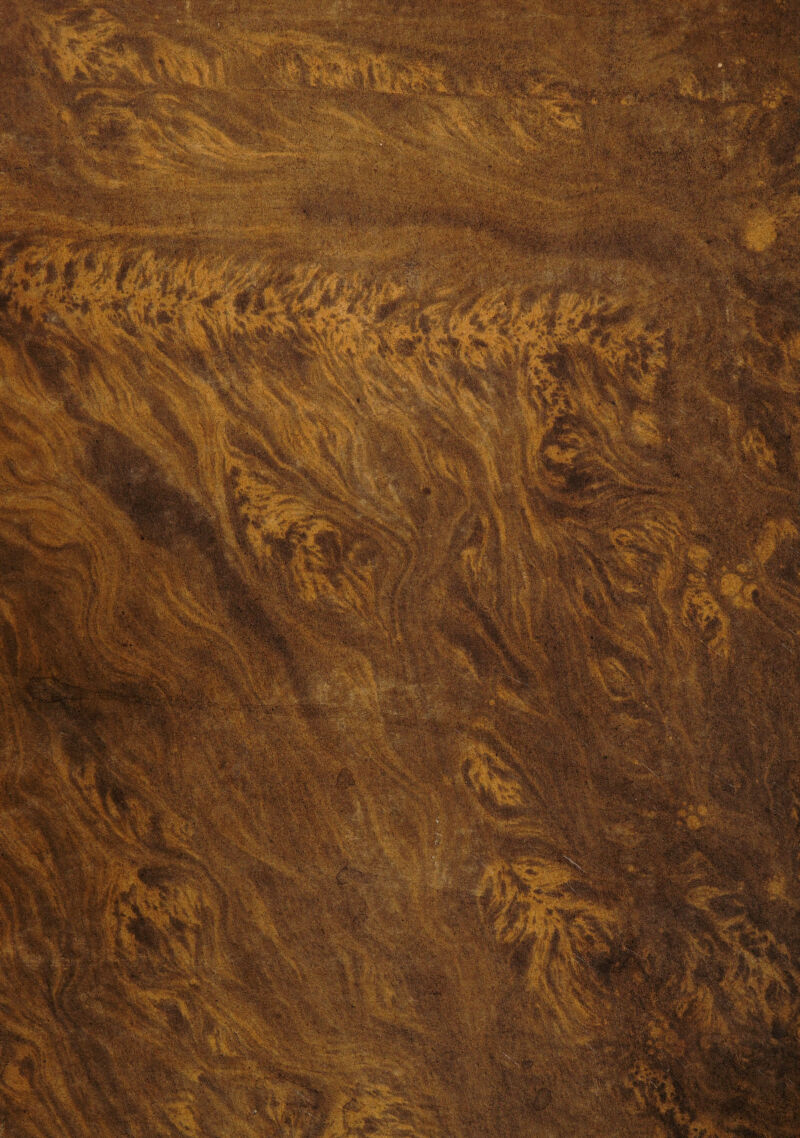 No text description is available for this image