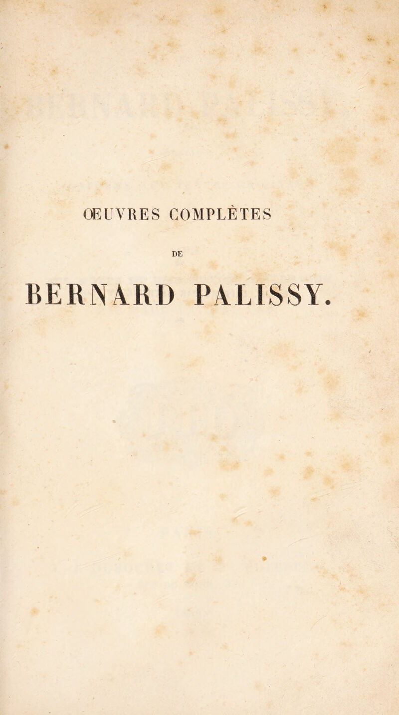 DE BERN/^RD PALISSY.