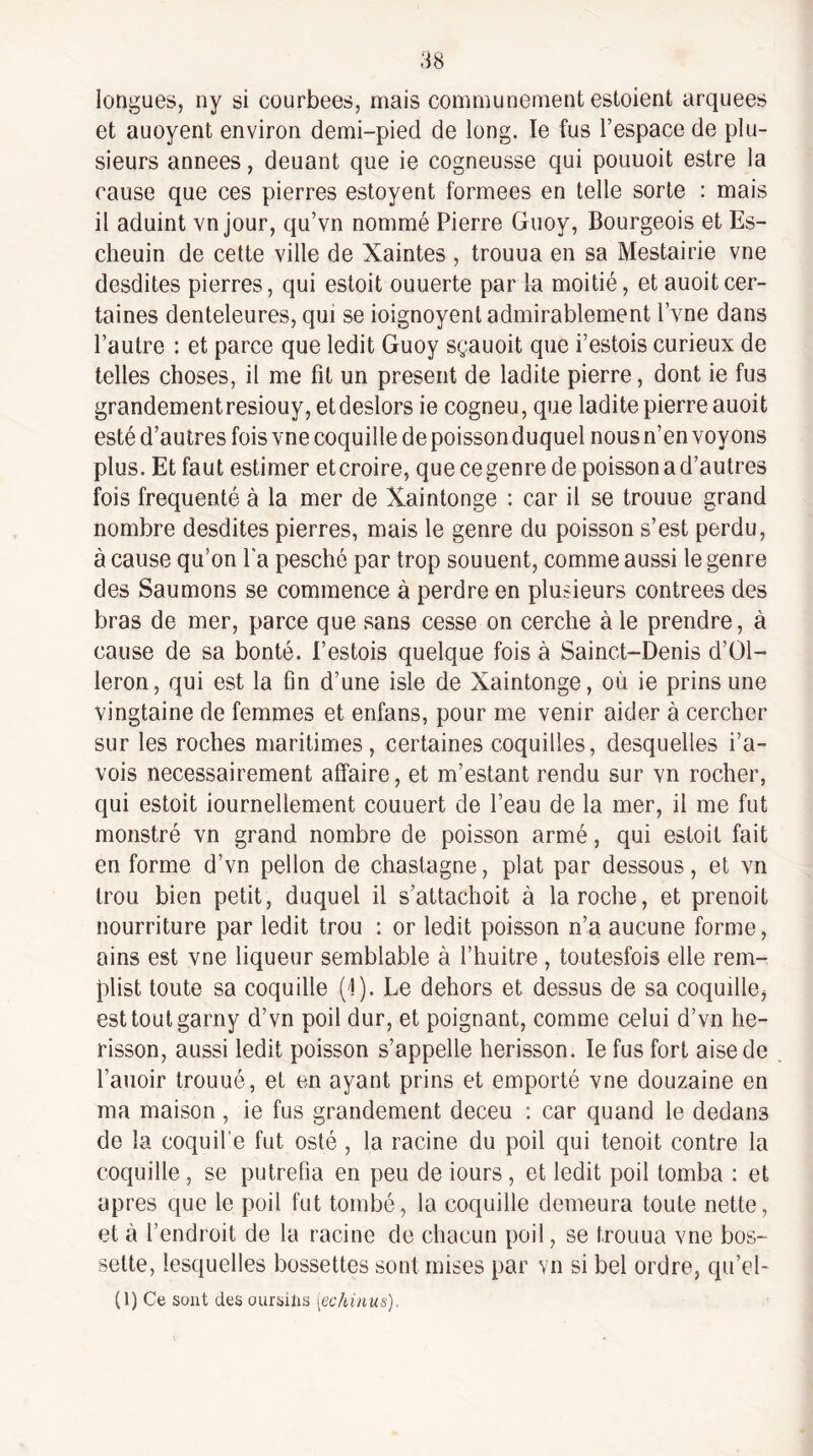 ;i8 longues, ny si courbées, mais communément estoient arquees et auoyent environ demi-pied de long. le fus l’espace de plu¬ sieurs années, deuant que ie cogneusse qui pouuoit estre la cause que ces pierres estoyent formées en telle sorte : mais il aduint vn jour, qu’vn nommé Pierre Guoy, Bourgeois et Es- cheuin de cette ville de Xaintes , trouua en sa Mestairie vne desdites pierres, qui estoit ouuerte par la moitié, et auoitcer¬ taines denteleures, qui se ioignoyent admirablement l’vne dans l’autre : et parce que ledit Guoy sçauoit que i’estois curieux de telles choses, il me fit un présent de ladite pierre, dont ie fus grandementresiouy, etdeslors ie cogneu, que ladite pierre auoit esté d’autres fois vne coquille de poisson duquel nous n’en voyons plus. Et faut estimer etcroire, quecegenre de poisson a d’autres fois fréquenté à la mer de Xaintonge ; car il se trouue grand nombre desdites pierres, mais le genre du poisson s’est perdu, à cause qu’on l'a pesché par trop souuent, comme aussi le genre des Saumons se commence à perdre en plusieurs contrées des bras de mer, parce que sans cesse on cerche à le prendre, à cause de sa bonté, l’estois quelque fois à Sainct-Denis d’Ol- leron, qui est la fin d’une isle de Xaintonge, où ie prins une vingtaine de femmes et enfans, pour me venir aider à cercher sur les roches maritimes, certaines coquilles, desquelles i’a- vois nécessairement affaire, et m’estant rendu sur vn rocher, qui estoit iournellement couuert de l’eau de la mer, il me fut monstré vn grand nombre de poisson armé, qui estoit fait en forme d’vn pellon de chastagne, plat par dessous, et vn trou bien petit, duquel il s’attachoit à la roche, et prenoit nourriture par ledit trou : or ledit poisson n’a aucune forme, oins est vne liqueur semblable à l’huitre , toutesfois elle rem- plist toute sa coquille (i). Le dehors et dessus de sa coquille^ est tout garny d’vn poil dur, et poignant, comme celui d’vn hé¬ risson, aussi ledit poisson s’appelle hérisson. le fus fort aise de l’auoir trouué, et en ayant prins et emporté vne douzaine en ma maison, ie fus grandement deceu : car quand le dedans de la coquil’e fut esté , la racine du poil qui tenoit contre la coquille, se putréfia en peu de iours, et ledit poil tomba : et apres que le poil fut tombé, la coquille demeura toute nette, et à l’endroit de la racine de chacun poil, se trouua vne bos- selte, lesquelles bossettes sont mises par vn si bel ordre, qu’el- (1) Ce sont des oursilis [echinus).