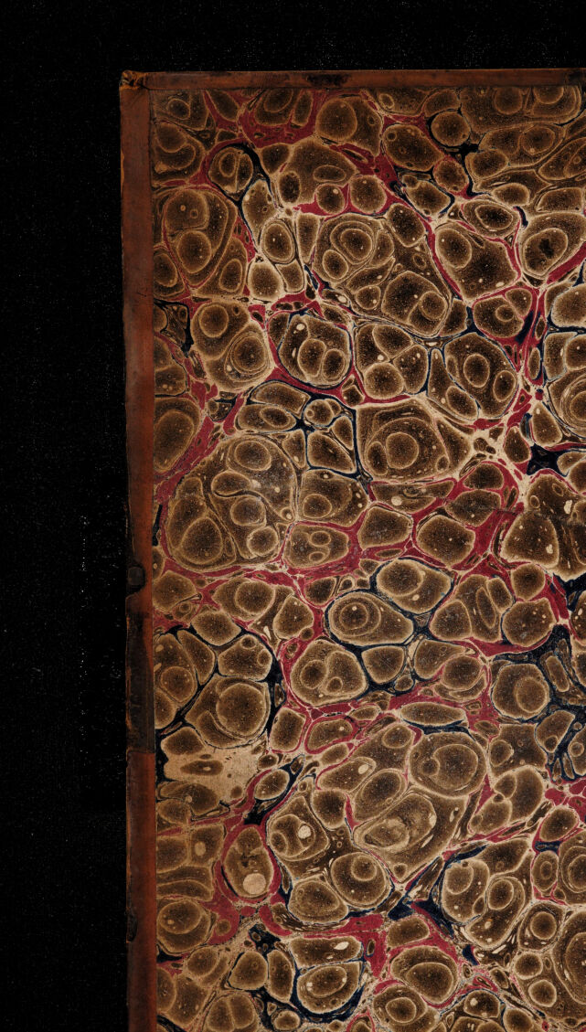 No text description is available for this image