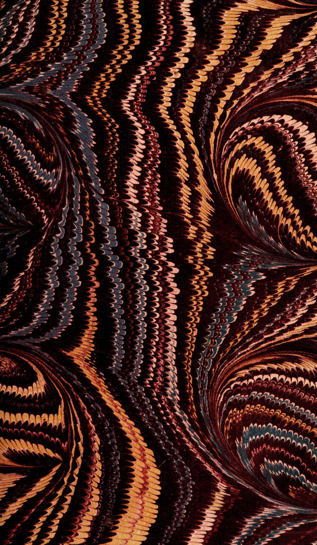 No text description is available for this image