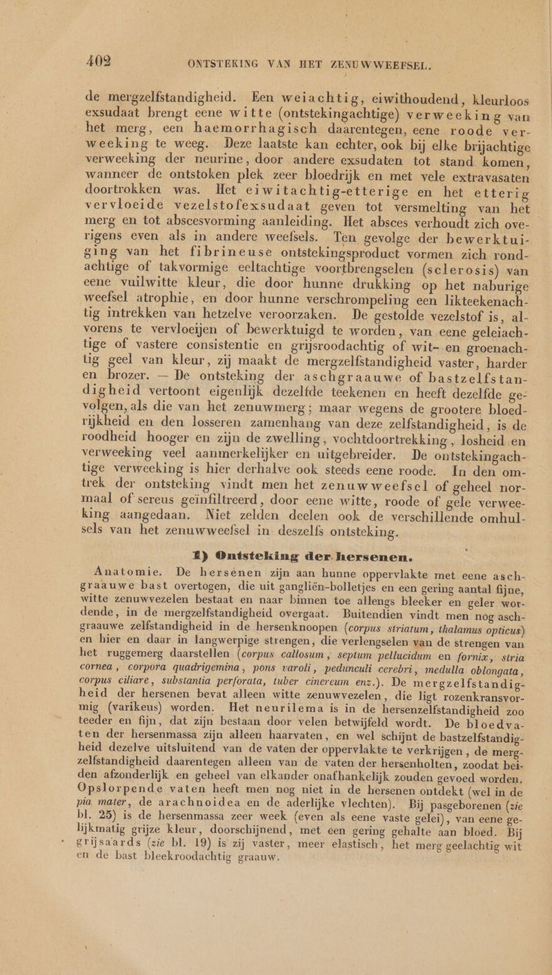 de mergzelfstandigheid. Een weiachtig, eiwithoudend ‚ kleurloos exsudaat brengt eene witte (ontstekingachtige) verweeking van het merg, een haemorrhagisch daarentegen, eene roode ver- weeking te weeg. Deze laatste kan echter, ook bij elke brijachtige verweeking der neurine, door andere exsudaten tot stand komen, wanneer de ontstoken plek zeer bloedrijk en met vele extravasaten doortrokken was. Het eiwitachtig-etterige en het etterig vervloeide vezelstofexsudaat geven tot versmelting van het merg en tot abscesvorming aanleiding. Het absces verhoudt zich ove- rigens even als in andere weefsels. Ten gevolge der bewerktui- sing van het fibrineuse ontstekingsproduct vormen zich rond- achtige of takvormige eeltachtige voortbrengselen (sclerosis) van eene vuilwitte kleur, die door hunne drukking op het naburige „weefsel atrophie, en door hunne verschrompeling een likteekenach- tig intrekken van hetzelve veroorzaken. De gestolde vezelstof is, al- vorens te vervloeijen of bewerktuigd te worden, van eene geleiach- tige of vastere consistentie en grijsroodachtig of wit- en groenach- üg geel van kleur, zij maakt de mergzelfstandigheid vaster, harder en brozer. — De ontsteking der aschgraauwe of bastzelfstan- digheid vertoont eigenlijk dezelfde teekenen en heeft dezelfde ge- volgen, als die van het zenuwmerg; maar wegens de grootere bloed- rijkheid en den losseren zamenhang van deze zelfstandigheid, is de roodheid hooger en zijn de zwelling, vochtdoortrekking , losheid en verweeking veel aanmerkelijker en uitgebreider. De ontstekingach- tige verweeking is hier derhalve ook steeds eene roode. In den om- trek der ontsteking vindt men het zenuw weefsel of geheel nor- maal of sereus geïnfiltreerd, door eene witte, roode of gele verwee- king aangedaan. Niet zelden deelen ook de verschillende omhul- sels van het zenuwweefsel in: deszelfs ontsteking. 2) Ontsteking der. hersenen. Anatomie. De hersenen zijn aan hunne oppervlakte met eene asch- graauwe bast overtogen, die uit gangliën-bolletjes en een gering aantal fijne, witte zenuwvezelen bestaat en naar binnen toe allengs bleeker en geler wor- dende, in de mergzelfstandigheid overgaat. Buitendien vindt men nog asch- graauwe zelfstandigheid in de hersenknoopen (corpus striatum , thalamus opticus) en hier en daar in langwerpige strengen, die verlengselen van de strengen van het ruggemerg daarstellen (corpus callosum ; septum pellucidum en fornix, stria cornea , corpora quadrigemina, pons varoli, pedunculi cerebri, medulla oblongata, corpus ciliare, substantia perforata, tuber cinereum enz.). De mergzelfstandig- heid der hersenen bevat alleen witte zenuwvezelen, die ligt rozenkransvor- mig (varikeus) worden. Het neurilema is in de hersenzelfstandigheid zoo teeder en fijn, dat zijn bestaan door velen betwijfeld wordt. De bloedva- ten der hersenmassa zijn alleen haarvaten, en wel schijnt de bastzelfstandig- heid dezelve uitsluitend van de vaten der oppervlakte te verkrijgen , de merg- zelfstandigheid daarentegen alleen van de vaten der hersenholten, zoodat bei- den afzonderlijk eu geheel van elkander onafhankelijk zouden gevoed worden. Opslorpende vaten heeft men nog niet in de hersenen ontdekt (wel in de pia mater, de arachnoidea en de aderlijke vlechten). Bij pasgeborenen (zie bl. 25) is de hersenmassa zeer week (even als eene vaste gelei), van eene ge- lijkmatig grijze kleur, doorschijnend, met een gering gehalte aan bloed. Bij grijsaards (zie bl. 19) is zij vaster, meer elastisch, het merg geelachtig wit en de bast bleekroodachtig graauw.
