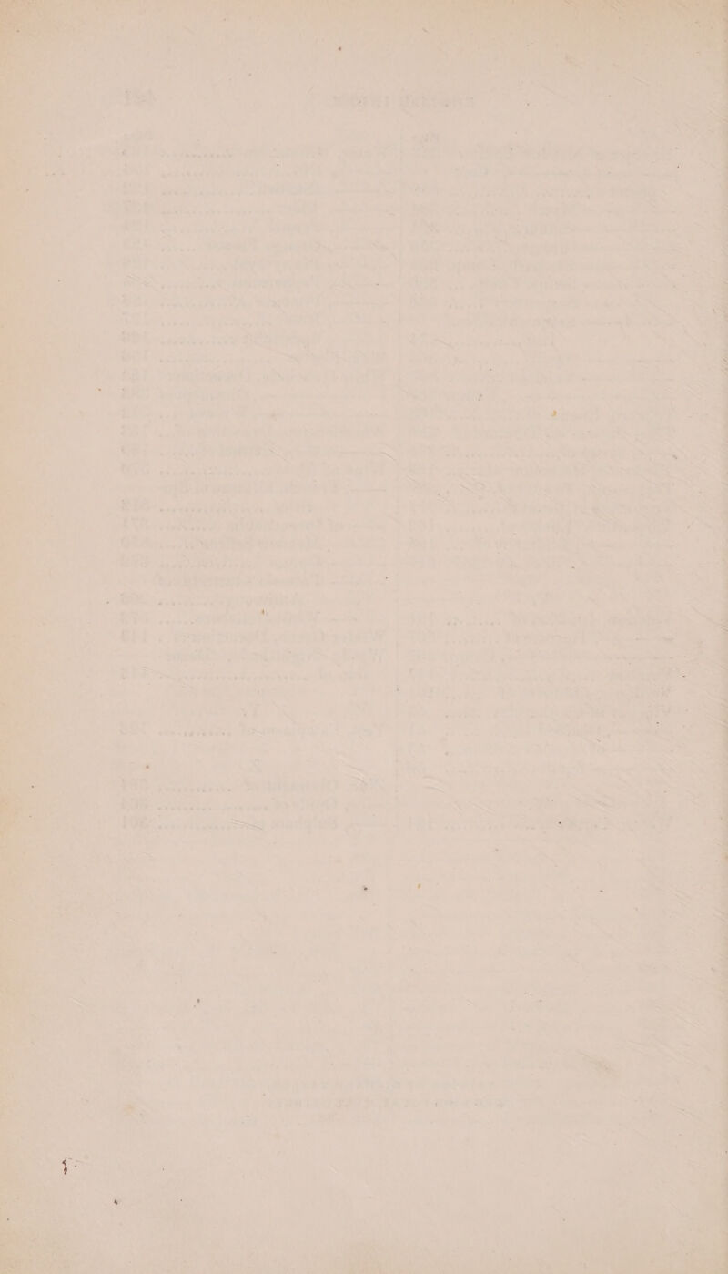 liu ait ee &gt;; as] hye! ‘ y * (Shane eeke Pee eke aes af le i ol Be ‘het we . » Poe eee st) © eee ee 2