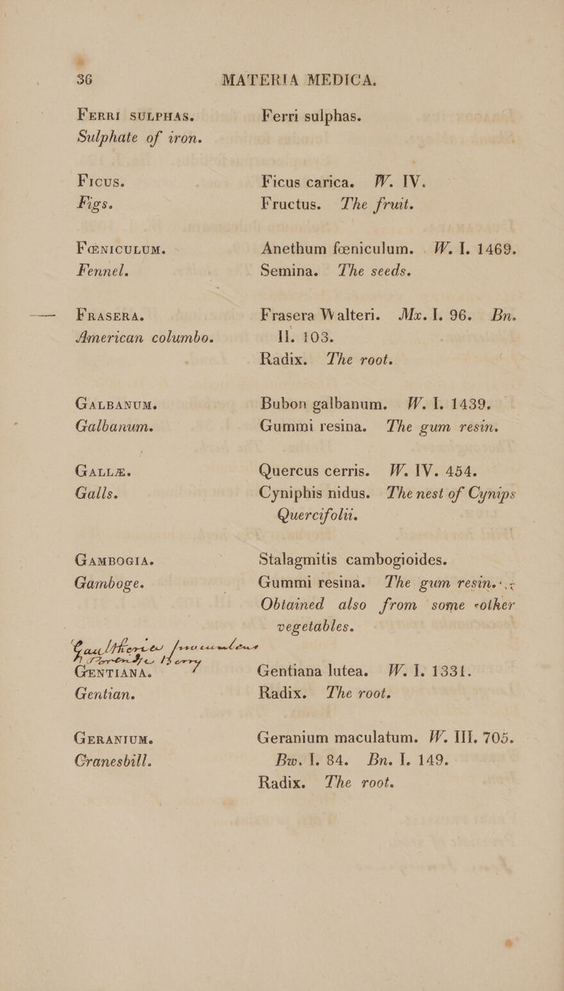 &amp; 36 FERRI SULPHAS. Sulphate of iron. GERANIUM. Cranesbill. Ferri sulphas. W. IV. Ficus. Ficus carica. Figs. Fructus. The fruit. FauicuLUM. Anethum feeniculum. . W. I. 1469. Fennel. Semina. The seeds. FRASERA. Frasera Walteri. Max. 1. 96. Bn. American columbo. II. 103. Radix. The root. GALBANUM. Bubon galbanum. W. I. 1439. Galbanum. Gummi resina. The gum resin. GALLÆ. . Quercus cerris. W. IV. 454. Galls. Cyniphis nidus. The nest of Cynips Quercifoln. GAMBOGIA. Stalagmitis cambogioides. Gamboge. Gummi resina. The gum resin.:,; Obtained also from some «other : vegetables. Pullinen feresti TEM eei NC. Gentiana lutea. W. I. 1331. Gentian. Radix. The root. Geranium maculatum. W. III. 705. Bw. 1. 84. Bn. I. 149. Radix. The root.