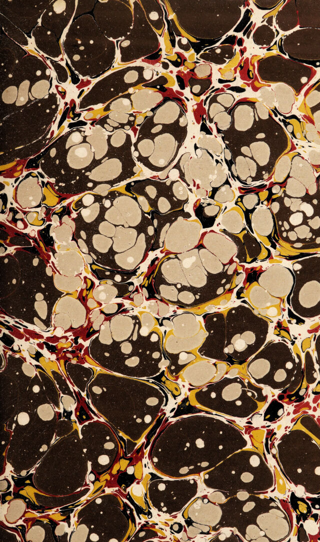digitised image 3