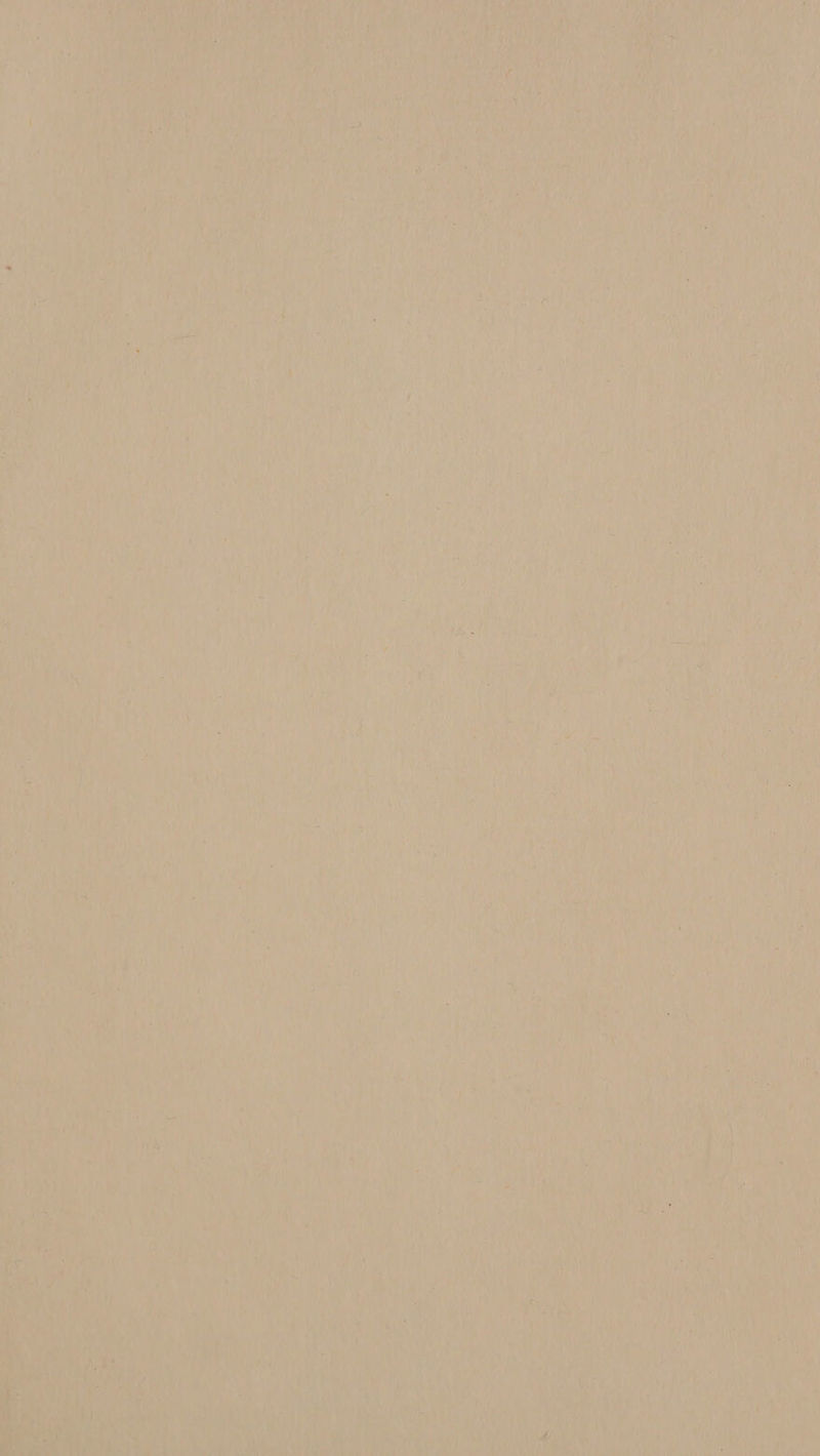 i Pet ci ant Rie: e si ei iA eae + a) eh 7 I cer mae, fad ‘ia! Te Outs Ane F A bh nes ‘ }