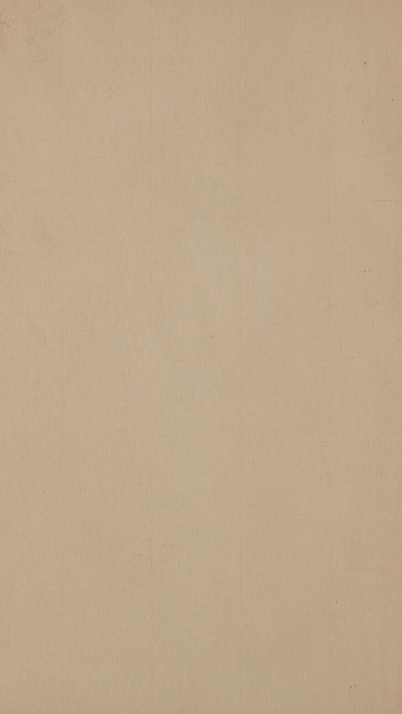 Sie Ah et i et » di ae ke tall oh * are rd oh A Fe aa) 49 tay ‘ Ain iy? ee a ie a 9 {\ iat th: tA (fe ay ius nie Nae 