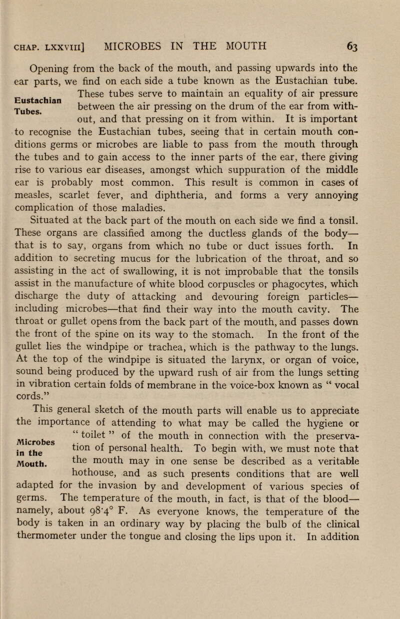 Opening from the back of the mouth, and passing upwards into the ear parts, we find on each side a tube known as the Eustachian tube. These tubes serve to maintain an equality of air pressure Tubes between the air pressing on the drum of the ear from with¬ out, and that pressing on it from within. It is important to recognise the Eustachian tubes, seeing that in certain mouth con¬ ditions germs or microbes are liable to pass from the mouth through the tubes and to gain access to the inner parts of the ear, there giving rise to various ear diseases, amongst which suppuration of the middle ear is probably most common. This result is common in cases of measles, scarlet fever, and diphtheria, and forms a very annoying complication of those maladies. Situated at the back part of the mouth on each side we find a tonsil. These organs are classified among the ductless glands of the body— that is to say, organs from which no tube or duct issues forth. In addition to secreting mucus for the lubrication of the throat, and so assisting in the act of swallowing, it is not improbable that the tonsils assist in the manufacture of white blood corpuscles or phagocytes, which discharge the duty of attacking and devouring foreign particles— including microbes—that find their way into the mouth cavity. The throat or gullet opens from the back part of the mouth, and passes down the front of the spine on its way to the stomach. In the front of the gullet lies the windpipe or trachea, which is the pathway to the lungs. At the top of the windpipe is situated the larynx, or organ of voice, sound being produced by the upward rush of air from the lungs setting in vibration certain folds of membrane in the voice-box known as “ vocal cords.” This general sketch of the mouth parts will enable us to appreciate the importance of attending to what may be called the hygiene or “ toilet ” of the mouth in connection with the preserva¬ tion of personal health. To begin with, we must note that the mouth may in one sense be described as a veritable hothouse, and as such presents conditions that are well adapted for the invasion by and development of various species of germs. The temperature of the mouth, in fact, is that of the blood— namely, about 98'4° F. As everyone knows, the temperature of the body is taken in an ordinary way by placing the bulb of the clinical thermometer under the tongue and closing the lips upon it. In addition Microbes in the Mouth.