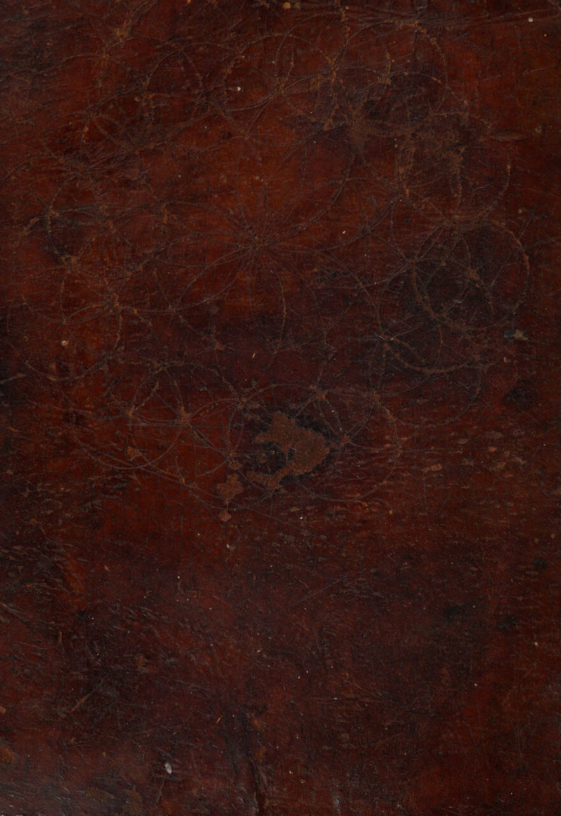 No text description is available for this image