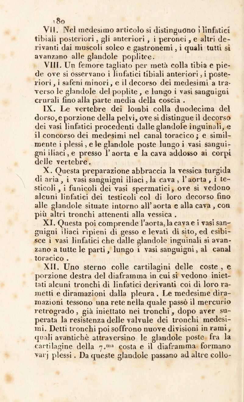 VII. Nel medesimo articolo si distinguono i linfatici tibiali posteriori , gli anteriori , i peronei, e altri de¬ rivanti dai muscoli soleo e gastronomi, i quali tutti si avanzano alle glandola poplitee. Vili- Un femore tagliato per metà colla tibia e pie¬ de ove si osservano i linfatici tibiali anteriori, i poste¬ riori , i safeni minori, e il decorso dei medesimi a tra¬ verso le glandole del poplite , e lungo i vasi sanguigni crurali fino alla parte media della coscia . IX. Le vertebre dei lombi colla duodecima del dorso, e porzione della pelvi, ove si distingue il decorso dei vasi linfatici procedenti dalle glandole inguinali, e il concorso dei medesimi nel canal toracico ; e simil¬ mente i plessi, e le glandole poste lungo i vasi sangui¬ gni iliaci 5 e presso l’aorta e la cava addosso ai corpi delle vertebre. X. Questa preparazione abbraccia la vessica turgida di aria , i vasi sanguigni iliaci, la cava , l’aorta , i te¬ sticoli , i funicoli dei vasi spermatici, ove si vedono alcuni linfatici dei testicoli col di loro decorso fino alle glandole situate intorno all’aorta e alla cava , con più altri tronchi attenenti alla vessica . XI. Questa poi comprende l’aorta, la cava e i vasi san¬ guigni iliaci ripieni di gesso elevati di sito, ed esibi¬ sce i vasi linfatici che dalle glandole inguinali si avan¬ zano a tutte le parti, lungo i vasi sanguigni, al canal toracico . X1L Uno sterno colle cartilagini delle coste , e porzione destra del diaframma in cui si vedono iniet¬ tati alcuni tronchi di linfatici derivanti coi di loro ra¬ metti e diramazioni dalla pleura . Le medesime dira¬ mazioni tessono una rete nella quale passò il mercurio retrogrado, già iniettato nei tronchi, dopo aver su¬ perata la resistenza delle valvule dei tronchi medesi¬ mi. Detti tronchi poi soffrono nuove divisioni in rami, quali avantichè attraversino le glandole poste fra la cartilagine della 7.ma costa e il diaframma formano varj plessi. Da queste glandole passano ad altre collo-