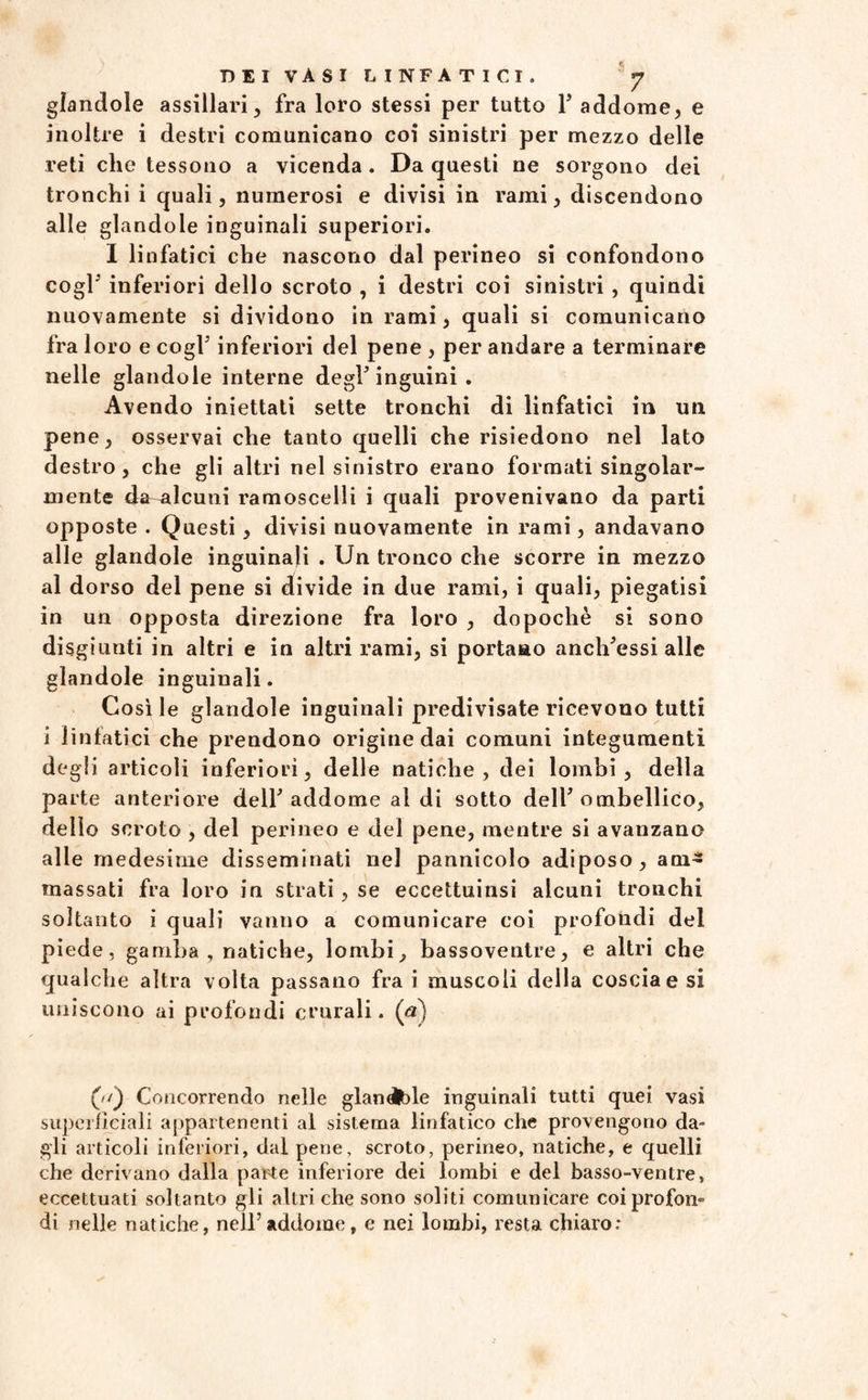 glandole assiilari, fra loro stessi per tutto Y addome, e inoltre i destri comunicano coi sinistri per mezzo delle reti che tessono a vicenda . Da questi ne sorgono dei tronchi i quali, numerosi e divisi in rami, discendono alle glandoie inguinali superiori. I linfatici che nascono dal perineo si confondono cogl5 inferiori dello scroto , i destri coi sinistri , quindi nuovamente si dividono in rami, quali si comunicano fra loro e cogl5 inferiori del pene , per andare a terminare nelle glandole interne degl5 inguini . Avendo iniettati sette tronchi di linfatici in un pene, osservai che tanto quelli che risiedono nel lato destro, che gli altri nel sinistro erano formati singolar¬ mente da alcuni ramoscelli i quali provenivano da parti opposte . Questi , divisi nuovamente in rami, andavano alle glandole inguinali . Un tronco che scorre in mezzo al dorso del pene si divide in due rami, i quali, piegatisi in un opposta direzione fra loro , dopoché si sono disgiunti in altri e in altri rami, si portano anch5essi alle glandole inguinali. Cosile glandole inguinali predivisate ricevono tutti i linfatici che prendono origine dai comuni integumenti degli articoli inferiori, delle natiche, dei lombi, della parte anteriore dell5 addome al di sotto dell5 ombellico, dello scroto , del perineo e del pene, mentre si avanzano alle medesime disseminati nel pannicolo adiposo, am¬ massati fra loro in strati , se eccettuinsi alcuni tronchi soltanto i quali vanno a comunicare coi profondi del piede, gamba, natiche, lombi, bassoventre, e altri che qualche altra volta passano fra i muscoli della coscia e si uniscono ai profondi crurali, (a) ('/) Concorrendo nelle glanelble inguinali tutti quei vasi superficiali appartenenti al sistema linfatico che provengono da¬ gli articoli inferiori, dal pene, scroto, perineo, natiche, e quelli che derivano dalla parte inferiore dei lombi e del basso-ventre, eccettuati soltanto gli altri che sono soliti comunicare coi profon» di nelle natiche, nell5addome, e nei lombi, resta chiaro: