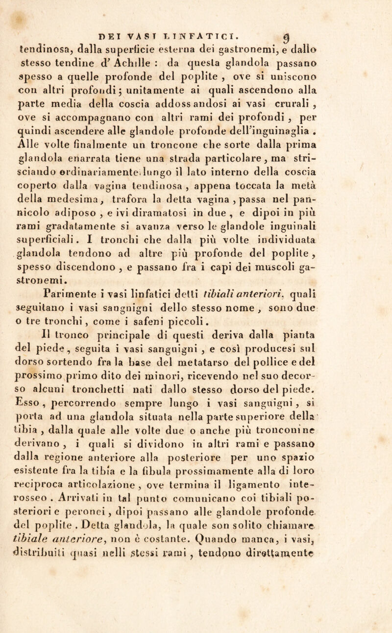 lendinosa, dalla superficie esterna dei gastronemi, e dallo stesso tendine d* Achille : da questa glandola passano spesso a quelle profonde del poplite , ove si uniscono con altri profondi, unitamente ai quali ascendono alla parte media della coscia addossandosi ai vasi crurali, ove si accompagnano con altri rami dei profondi , per quindi ascendere alle glandole profonde delfinguinaglia . Alle volte finalmente un troncone che sorte dalla prima glandola enarrata tiene una strada particolare, ma stri¬ sciando ordinariamente^ lungo il lato interno della coscia coperto dalla vagina lendinosa , appena toccata la metà della medesima, trafora la detta vagina , passa nel pan¬ nicolo adiposo , e ivi diramatosi in due , e dipoi in più rami gradatamente si avanza verso le glandole inguinali superficiali. I tronchi che dalla più volte individuata glandola tendono ad altre più profonde del poplite, spesso discendono , e passano fra i capi dei muscoli ga¬ stronomi. Parimente i vasi linfatici delti tibiali anteriori, quali seguitano i vasi sangnigni dello stesso nome , sono due o tre tronchi, come i safeni piccoli. Il tronco principale di questi deriva dalla pianta del piede, seguita i vasi sangnigni , e cosi producesi sul dorso sortendo fra la base del metatarso del pollice e del prossimo primo dito dei minori, ricevendo nel suo decor¬ so alcuni tronchetti nati dallo stesso dorso del piede. Esso, percorrendo sempre lungo i vasi sanguigni, si porta ad una glandola situata nella parte superiore della' tibia , dalla quale alle volte due o anche più tronconi ne derivano , i quali si dividono in altri rami e passano dalla regione anteriore alla posteriore per uno spazio esistente fra la tibia e la fibula prossimamente alla di loro reciproca articolazione , ove termina il ligamento inte¬ rosseo . Arrivati in tal punto comunicano coi tibiali po¬ steriori e peronei, dipoi passano alle glandole profonde del poplite . Detta glandola, la quale son solito chiamare tibiale anteriore, non è costante. Quando manca, i vasi, distribuiti quasi «elli stessi rami , tendpno direttamente