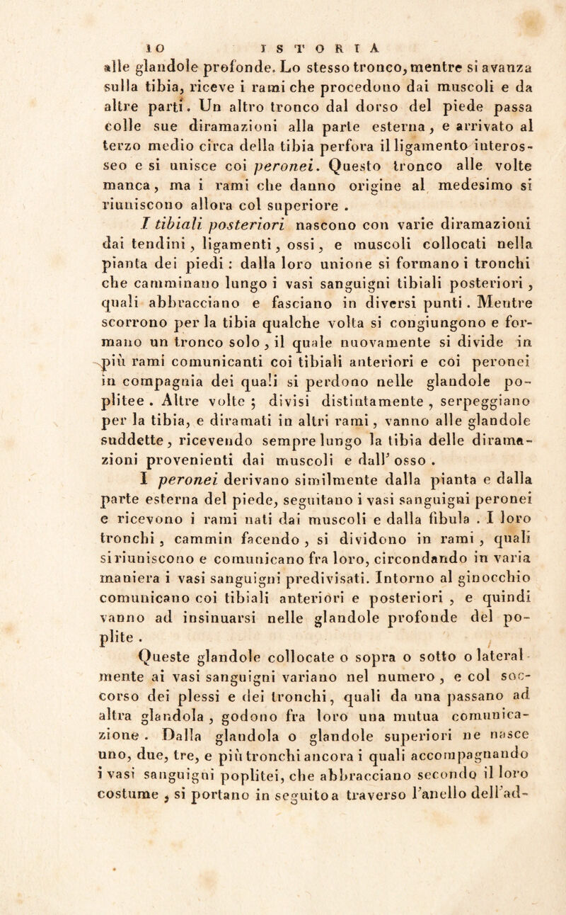 alle glandole profonde. Lo stesso tronco, mentre sì avanza sulla tibia, riceve i rami che procedono dai muscoli e da altre parti. Un altro tronco dal dorso del piede passa colle sue diramazioni alla parte esterna, e arrivato al terzo medio circa della tibia perfora il ligamento interos¬ seo e si unisce coi peronei. Questo tronco alle volte manca, ma i rami che danno orìgine al medesimo si riuniscono allora col superiore . I tibiali posteriori nascono con varie diramazioni dai tendini, ligamenti, ossi, e muscoli collocati nella pianta dei piedi : dalla loro unione si formano i tronchi che camminano lungo i vasi sanguigni tibiali posteriori , quali abbracciano e fasciano in diversi punti . Mentre scorrono perla tibia qualche volta si congiungono e for¬ mano un tronco solo , il quale nuovamente si divide in più rami comunicanti coi tibiali anteriori e coi peronei m compagnia dei quali si perdono nelle glandole po¬ plitee . Altre volte ; divisi distintamente , serpeggiano per la tibia, e diramati in altri rami, vanno alle glandole suddette, ricevendo sempre lungo la tibia delle dirama¬ zioni provenienti dai muscoli e dall* osso . I peronei derivano similmente dalla pianta e dalla parte esterna del piede, seguitano i vasi sanguigni peronei e ricevono i rami nati dai muscoli e dalla fibula . I loro tronchi , cammin facendo , si dividono in rami , quali si riuniscono e comunicano fra loro, circondando in varia maniera i vasi sanguigni predivisati. Intorno al ginocchio comunicano coi tibiali anteriori e posteriori , e quindi vanno ad insinuarsi nelle glandole profonde del po¬ plite . Queste glandole collocate o sopra o sotto o laterai mente ai vasi sanguigni variano nel numero , e col soc¬ corso dei plessi e dei tronchi, quali da una passano ad altra glandola , godono fra loro una mutua comunica¬ zione . Dalla glandola o glandole superiori ne nasce uno, due, tre, e più tronchi ancora i quali accompagnando ì vasi sanguigni poplitei, che abbracciano secondo il loro costume 9 si portano in seguitoa traverso Fanello dell ad-